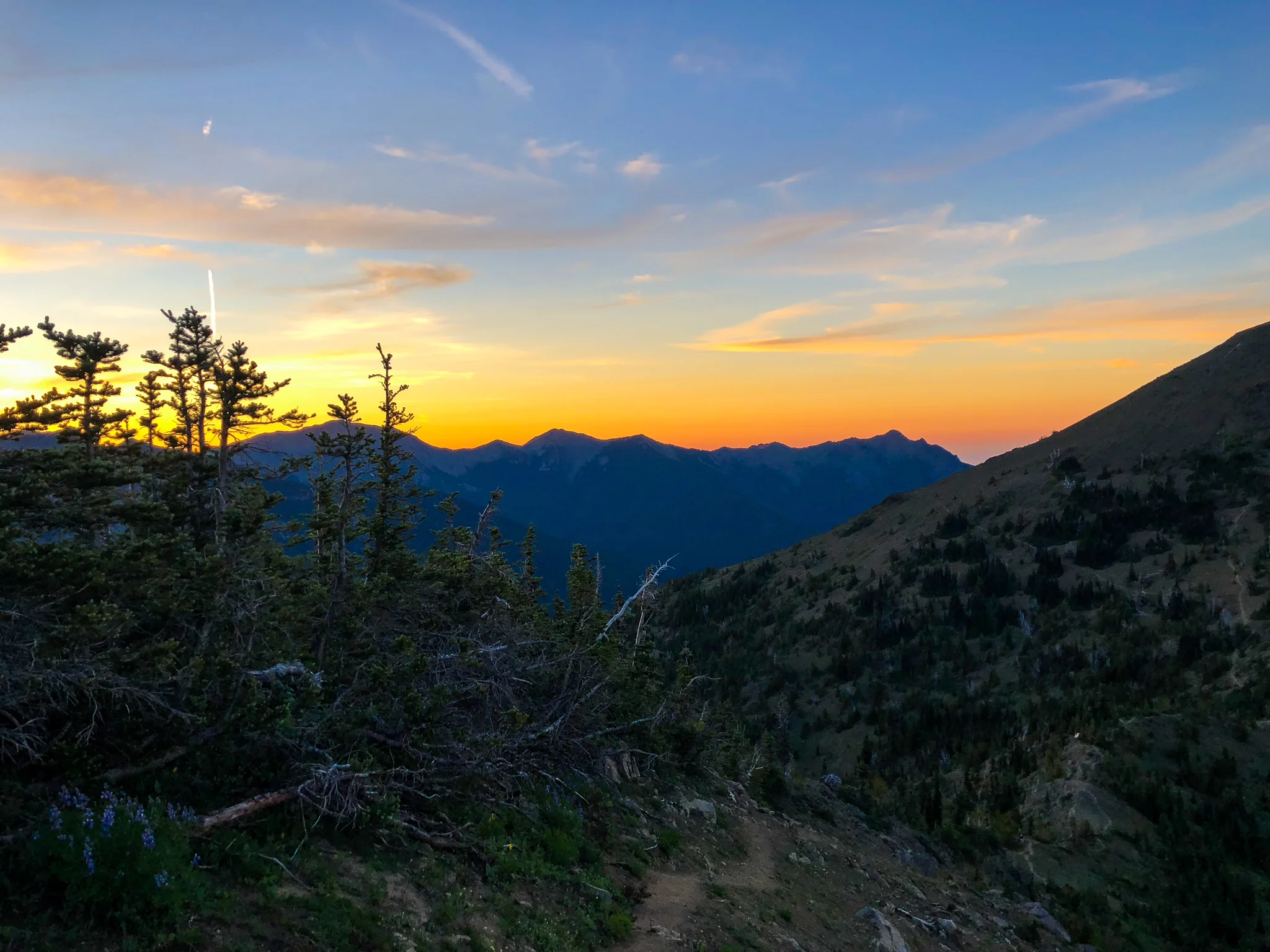 David's view from the ridge. 