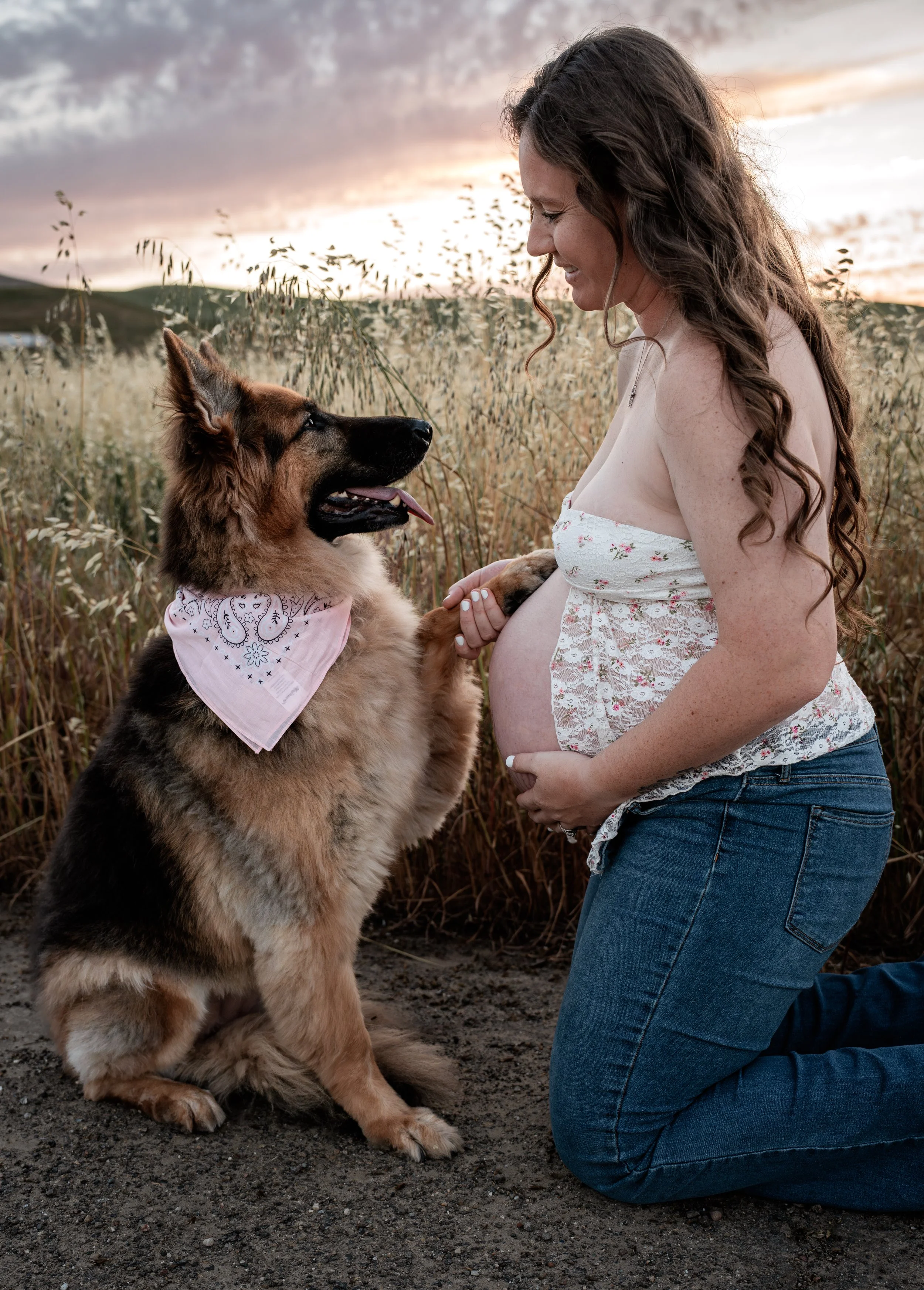 Photo of pregnant mother hold her German Shepards paw in an open field. Photo taken in Patterson, CA by Mikaela Tosta Photography.
