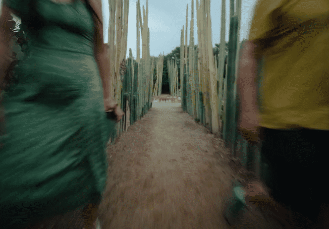 HF_60_WANDER THE COLORS OF OAXACA_DC-high (1).gif