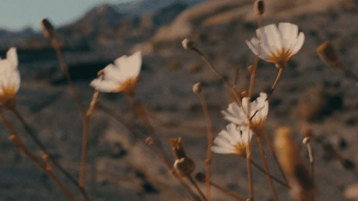 Desert Rhythms_30_16x9