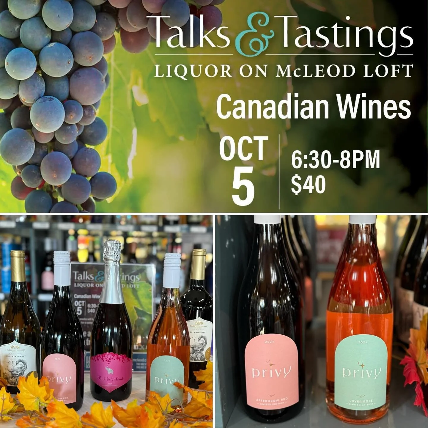 We still have a few tickets left for Sunday night’s wine tasting. Call the store to reserve. 780.962.WINE. π· 
A wonderful line up of BC wines:
π₯Pink Elephant sparkling
π₯Elephant Island Reserve Chardonnay
π₯Elephant Island Reserve Meritage