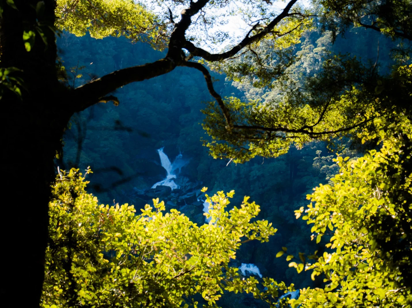 haast pass