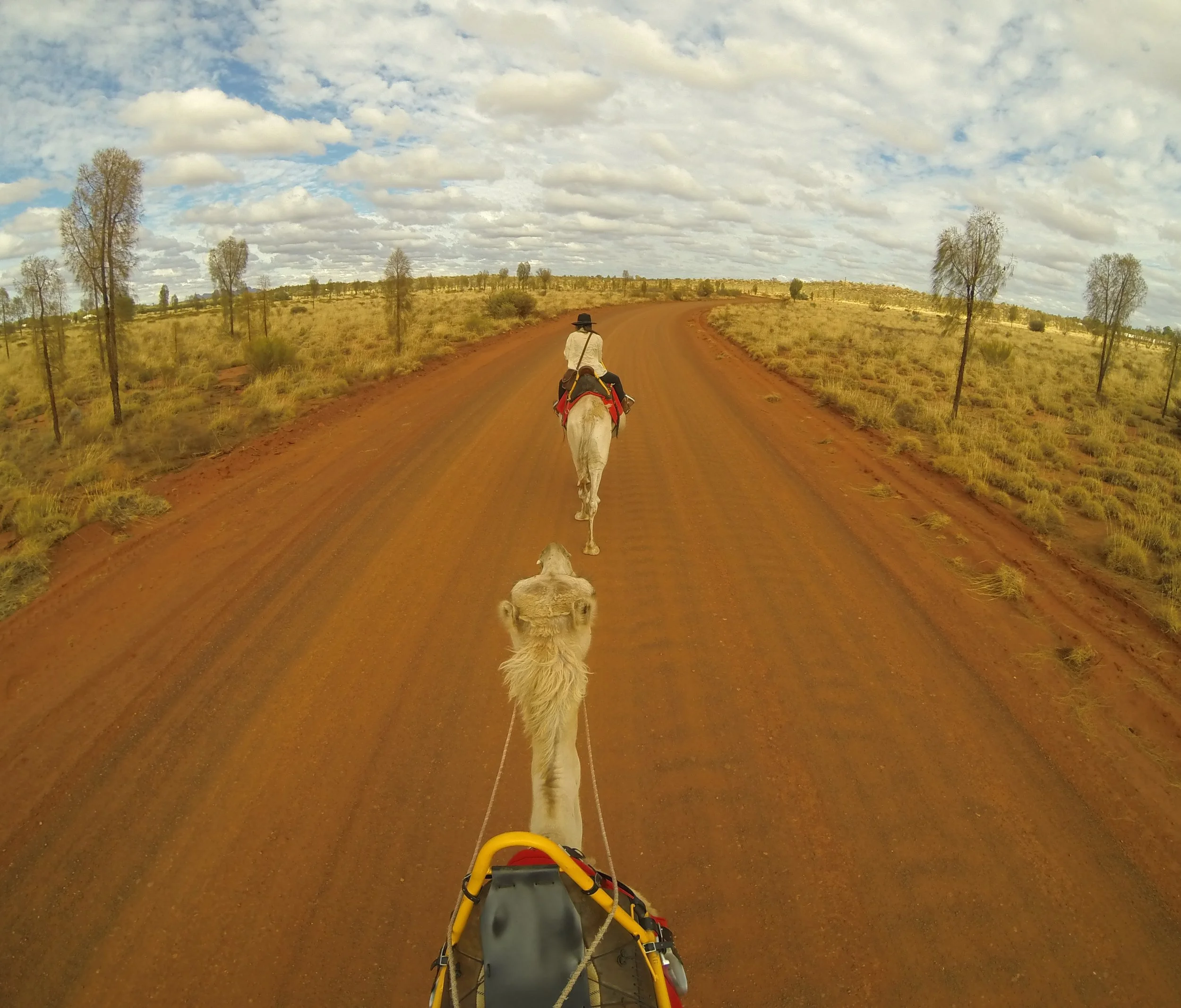 camel trekking, central desert