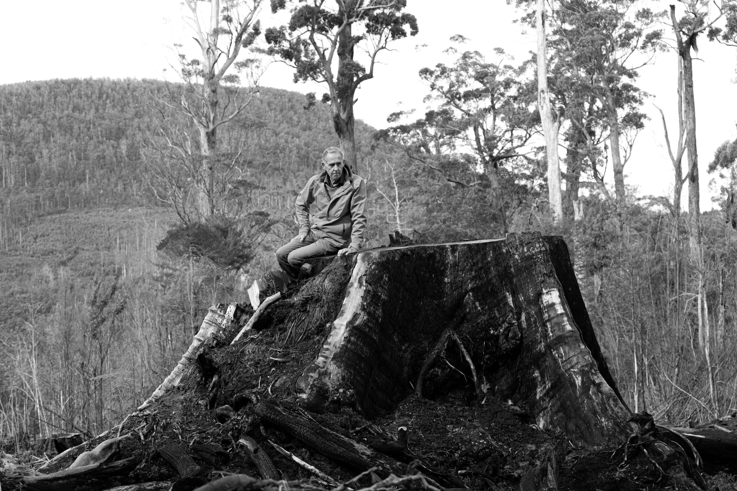  Dr Bob Brown sits on a tree recently cut down in the Tarkine of Tasmania. 