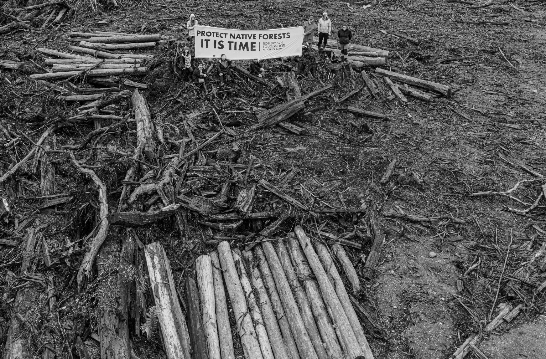 Activists calling for a halt to native forest logging in Pieman, Tasmania. 