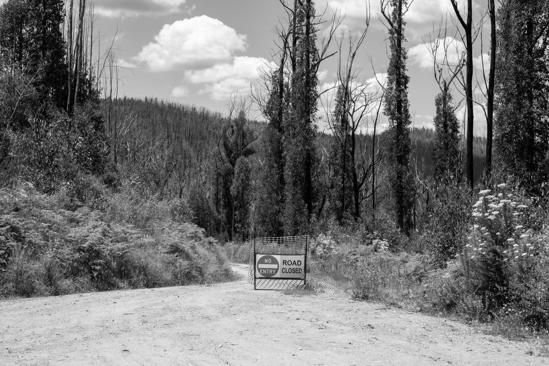  A closed road leading into an active logging coupe. 