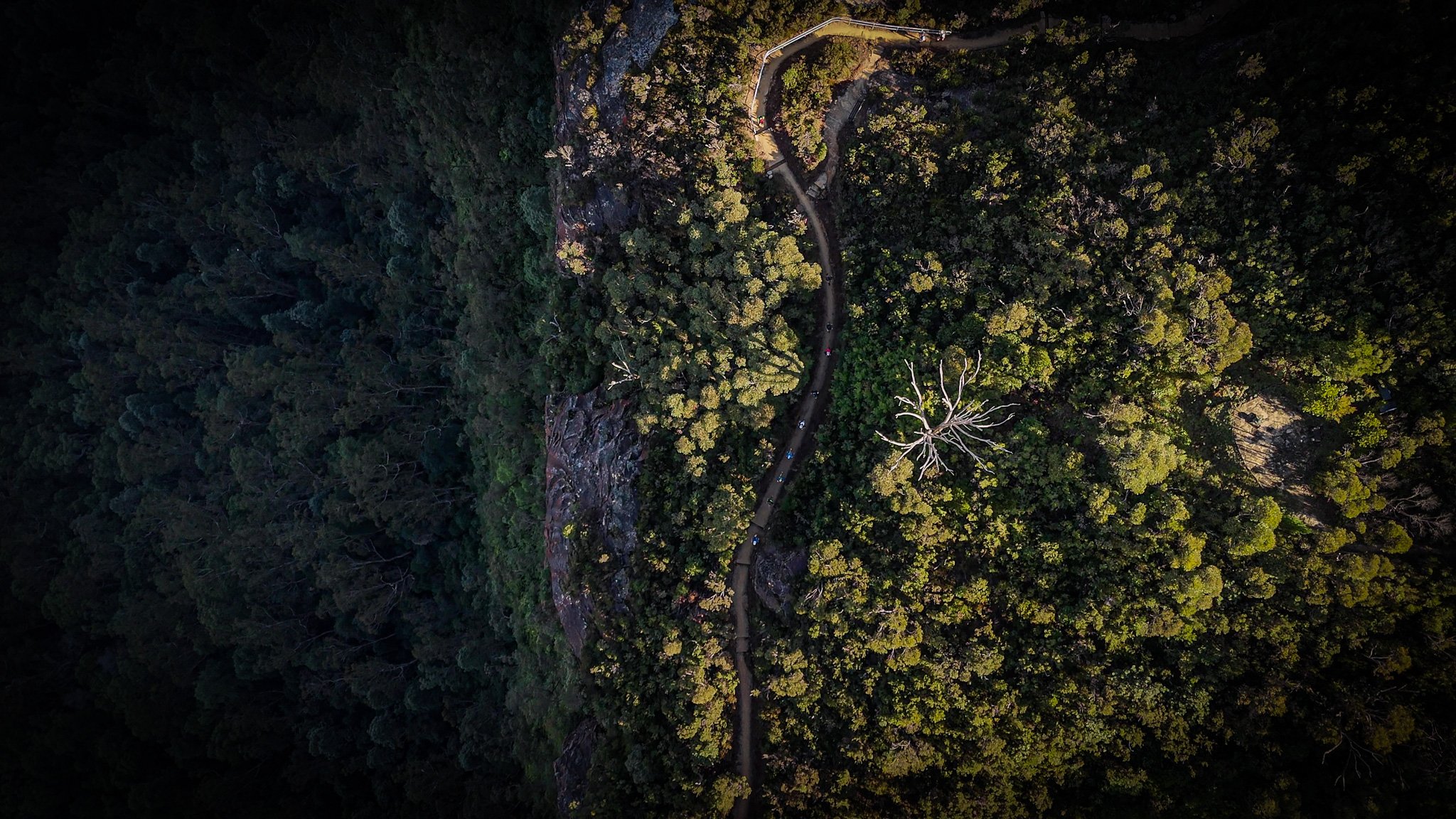 DJI_20250517092059_0453_D - frame at 0m16s.jpg