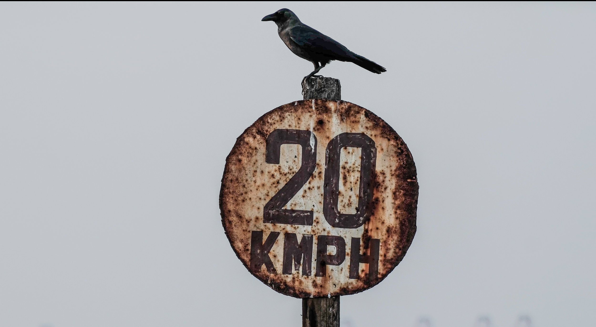 DSCF1505 - frame at 0m2s-3.jpg