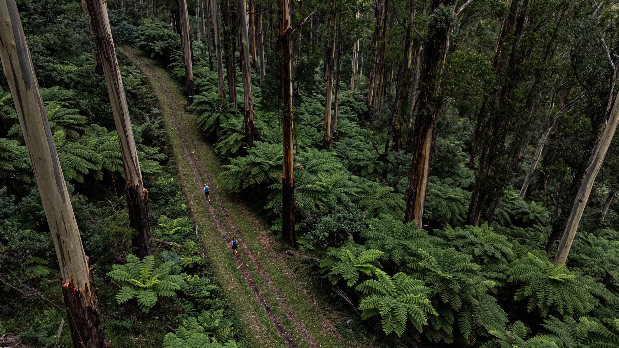 DJI_20260307090934_0140_D.jpg