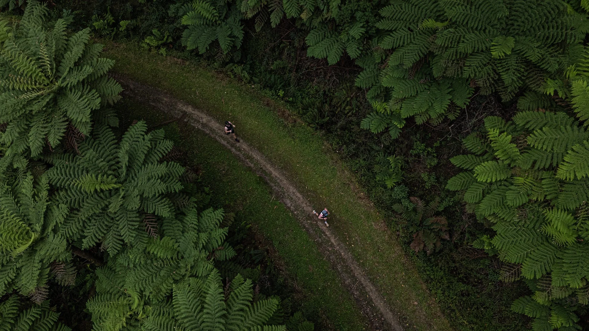DJI_20260307091555_0194_D.jpg
