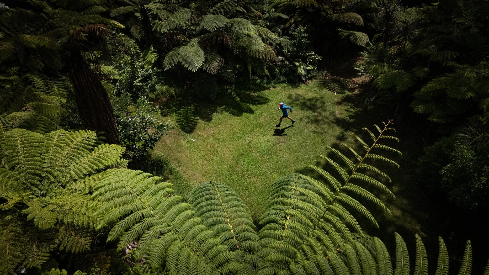 DJI_20260114101135_0838_D.jpg