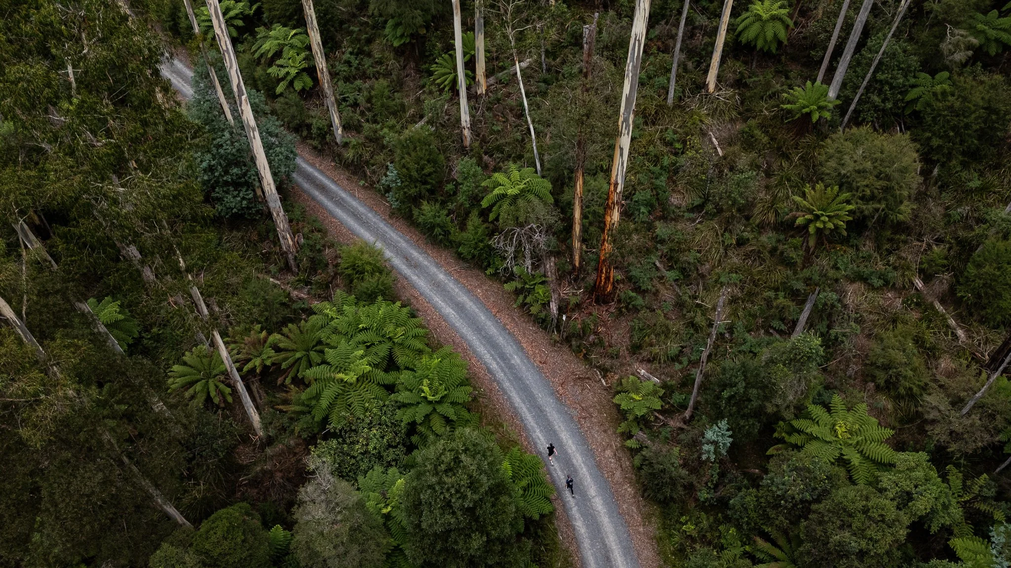 DJI_20260307103319_0258_D.jpg