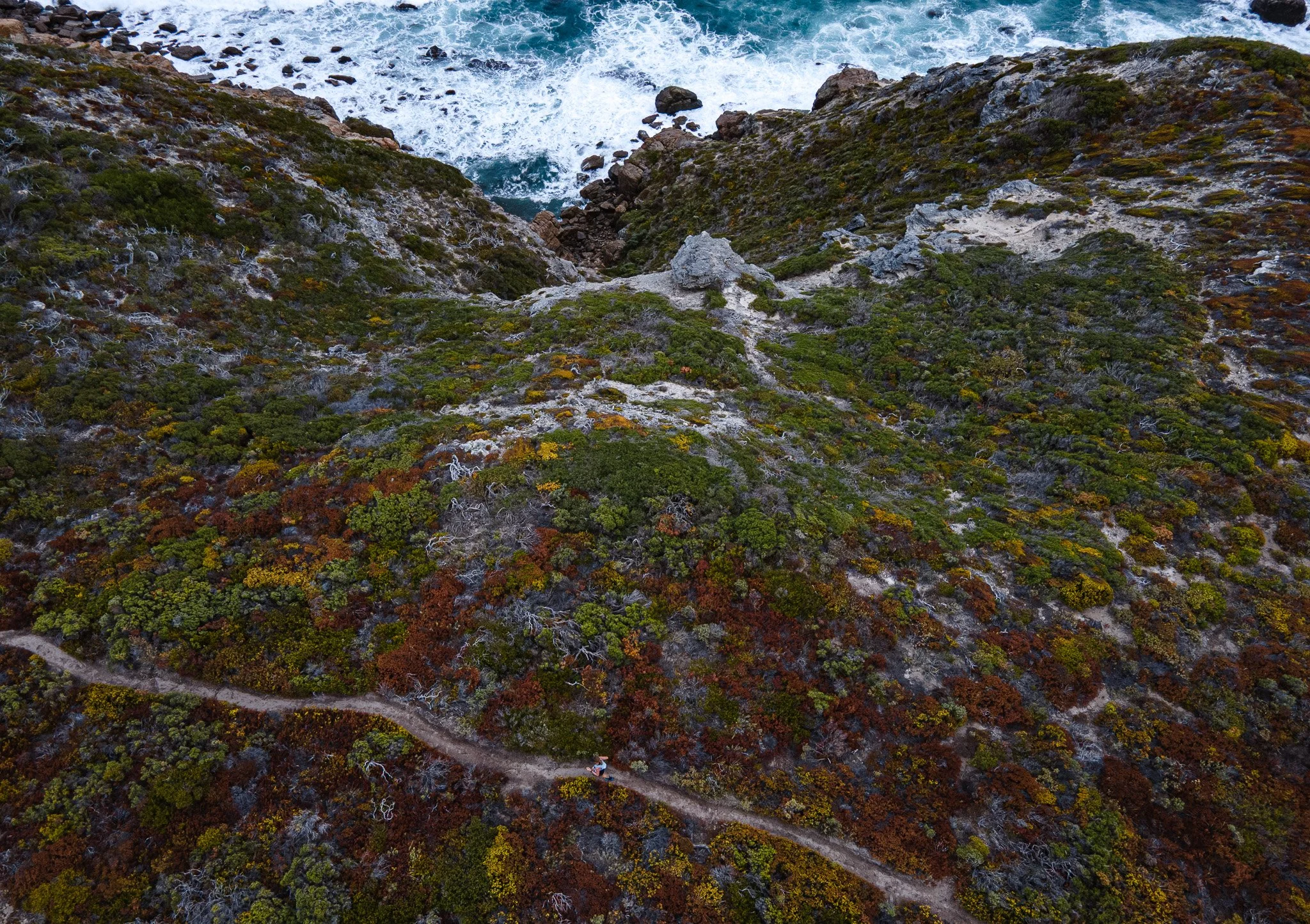 DJI_0664.jpg