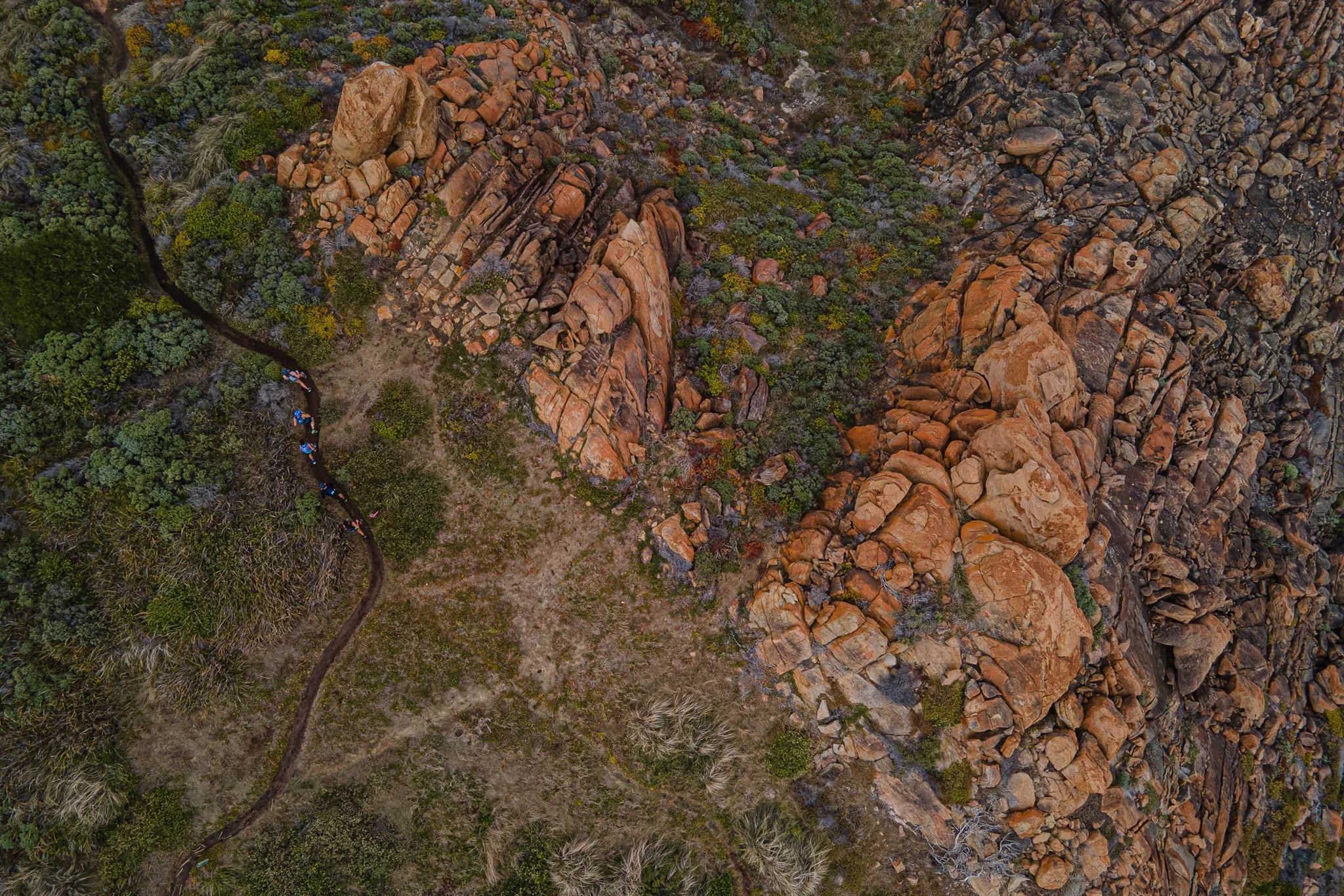 DJI_0657.jpg