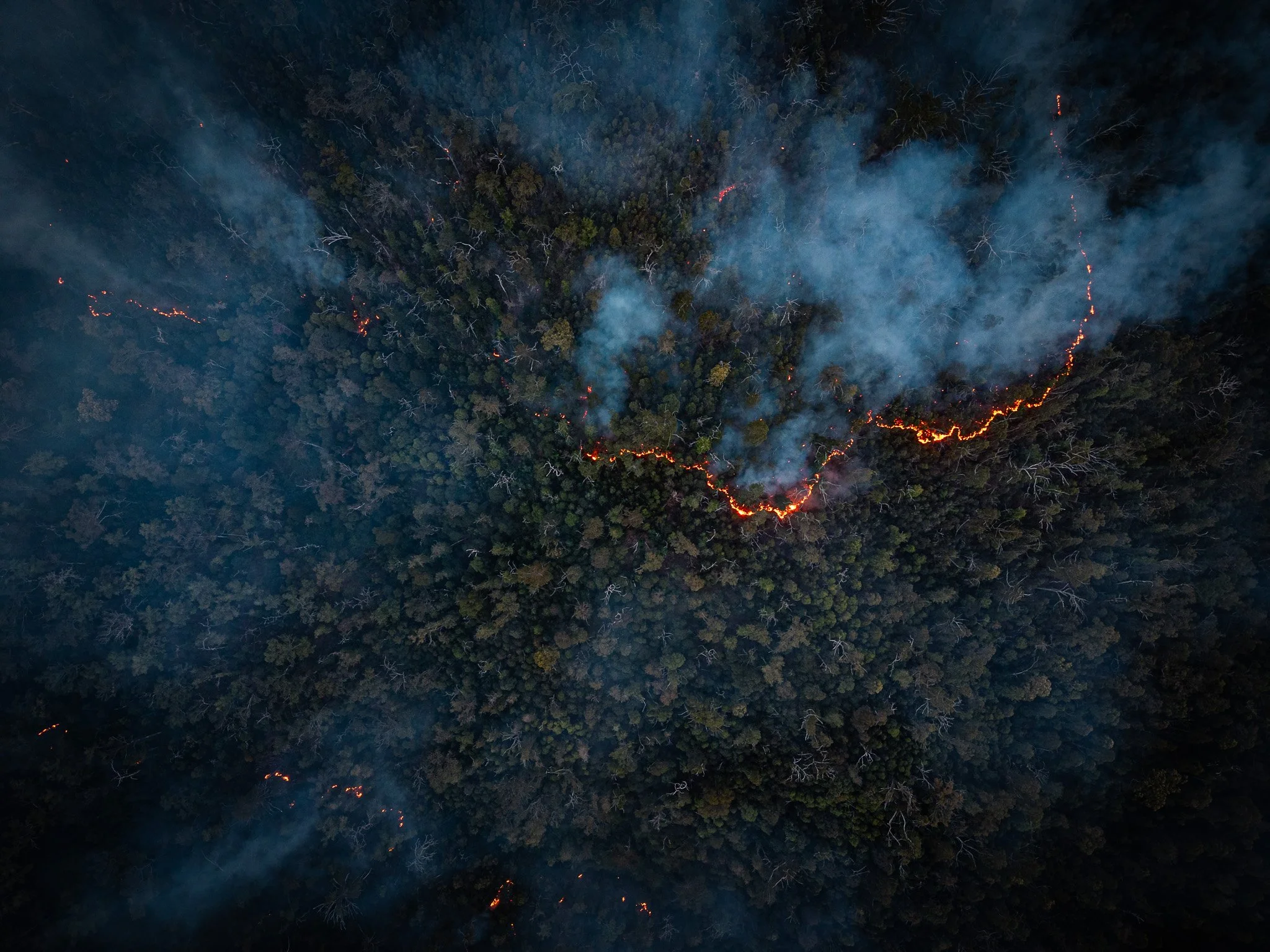 DJI_20260924174450_0113_D.jpg