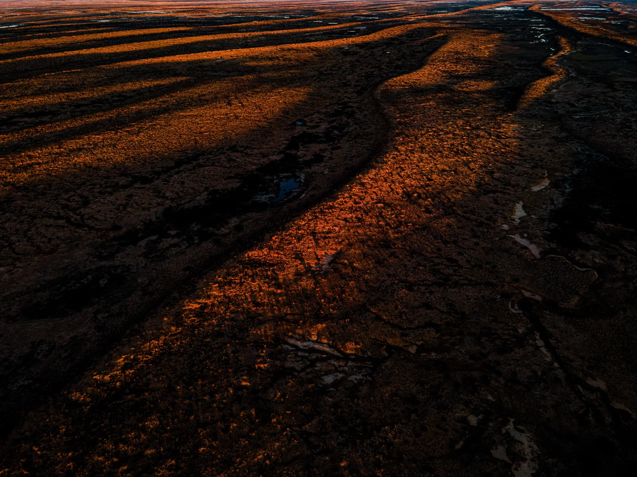 DJI_0793.jpg