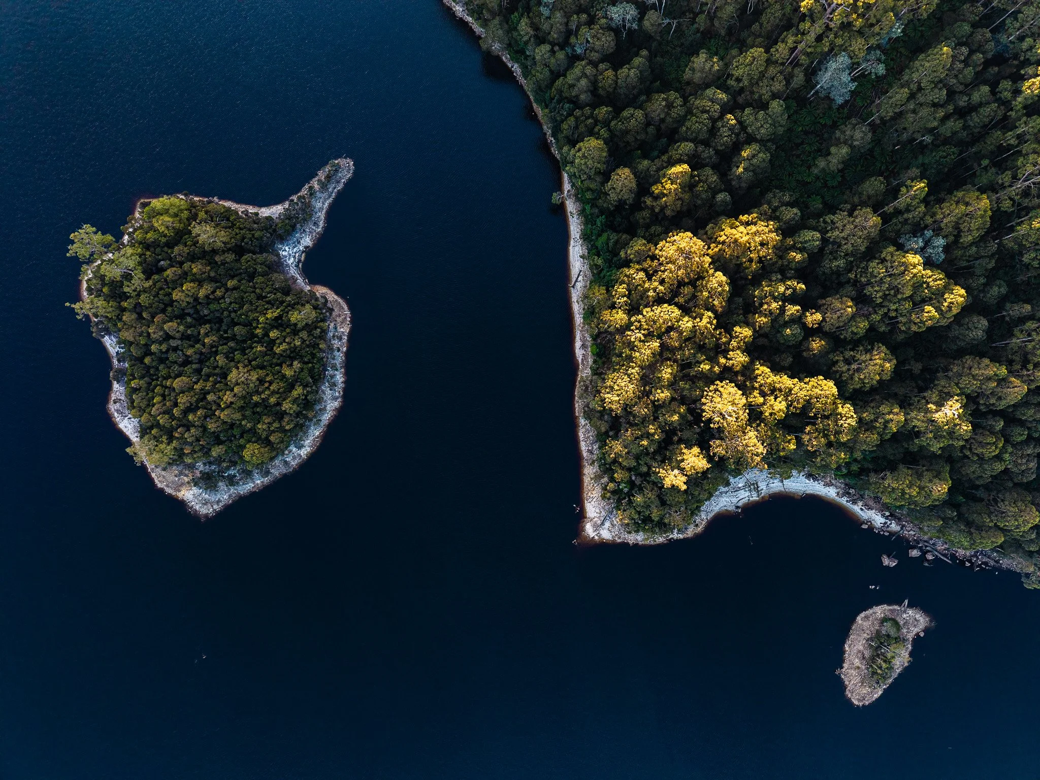 DJI_20250310182328_0301_D.jpg