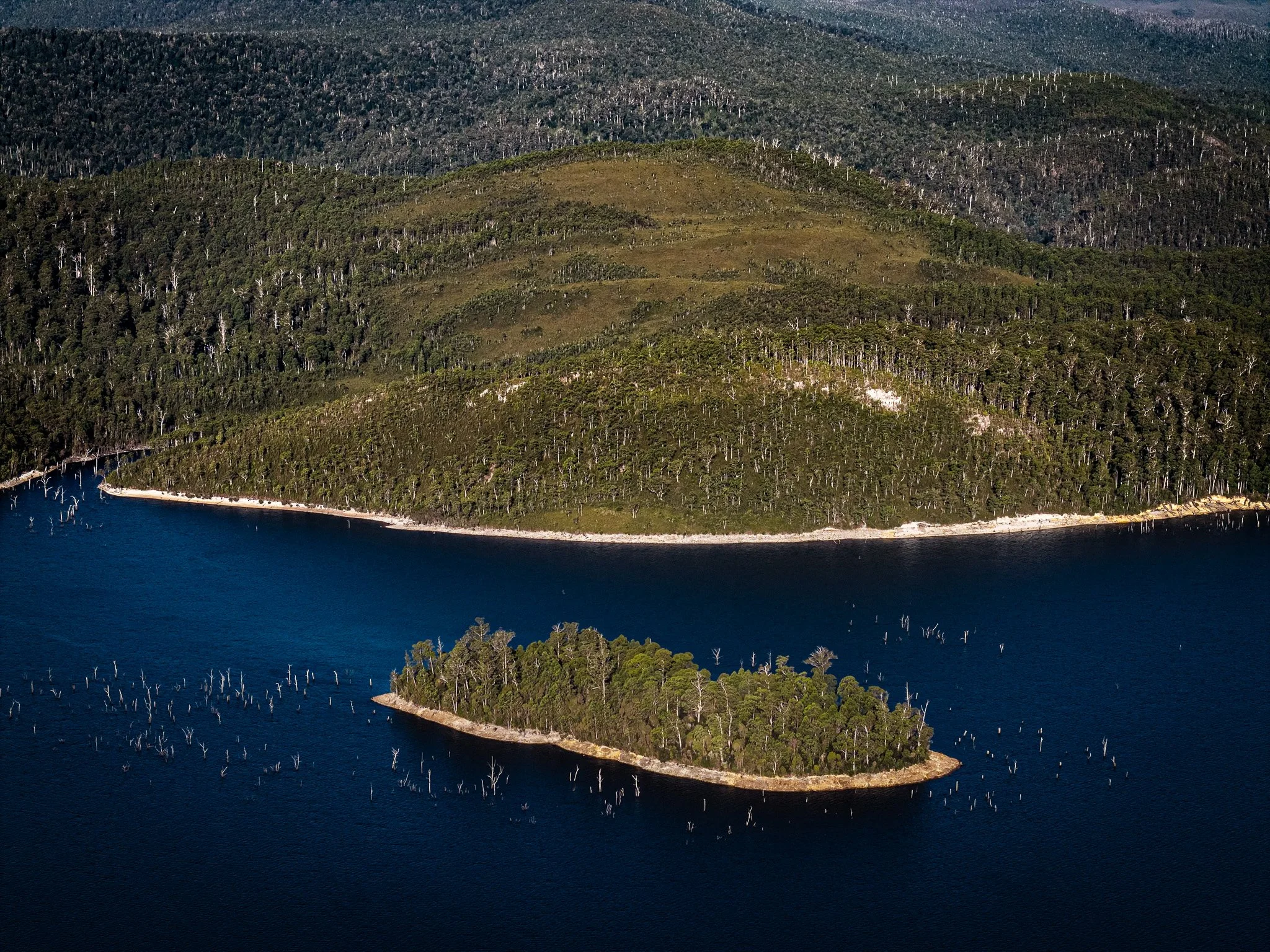 DJI_20250310182426_0303_D.jpg