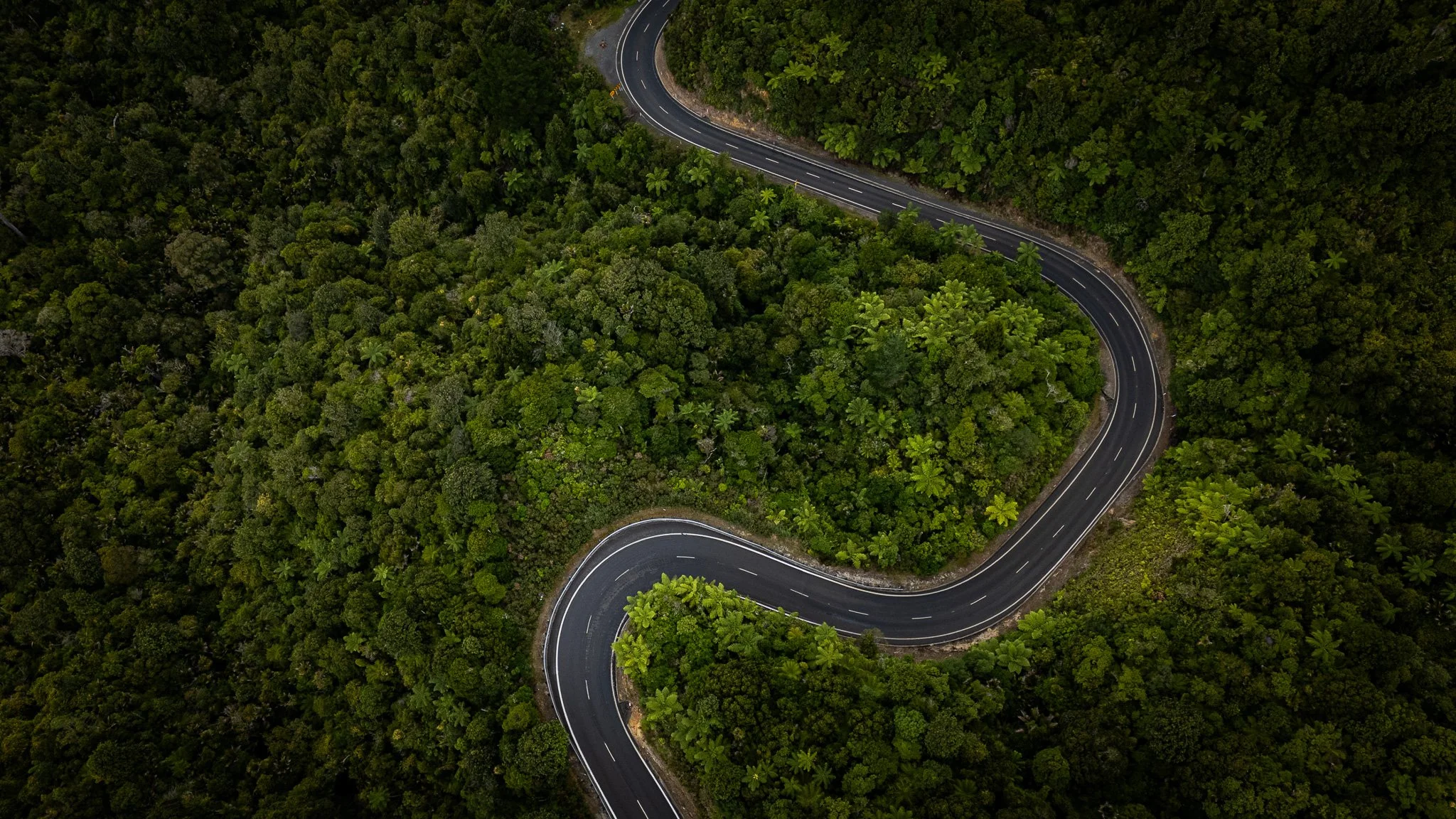 DJI_20260116120421_0886_D.jpg