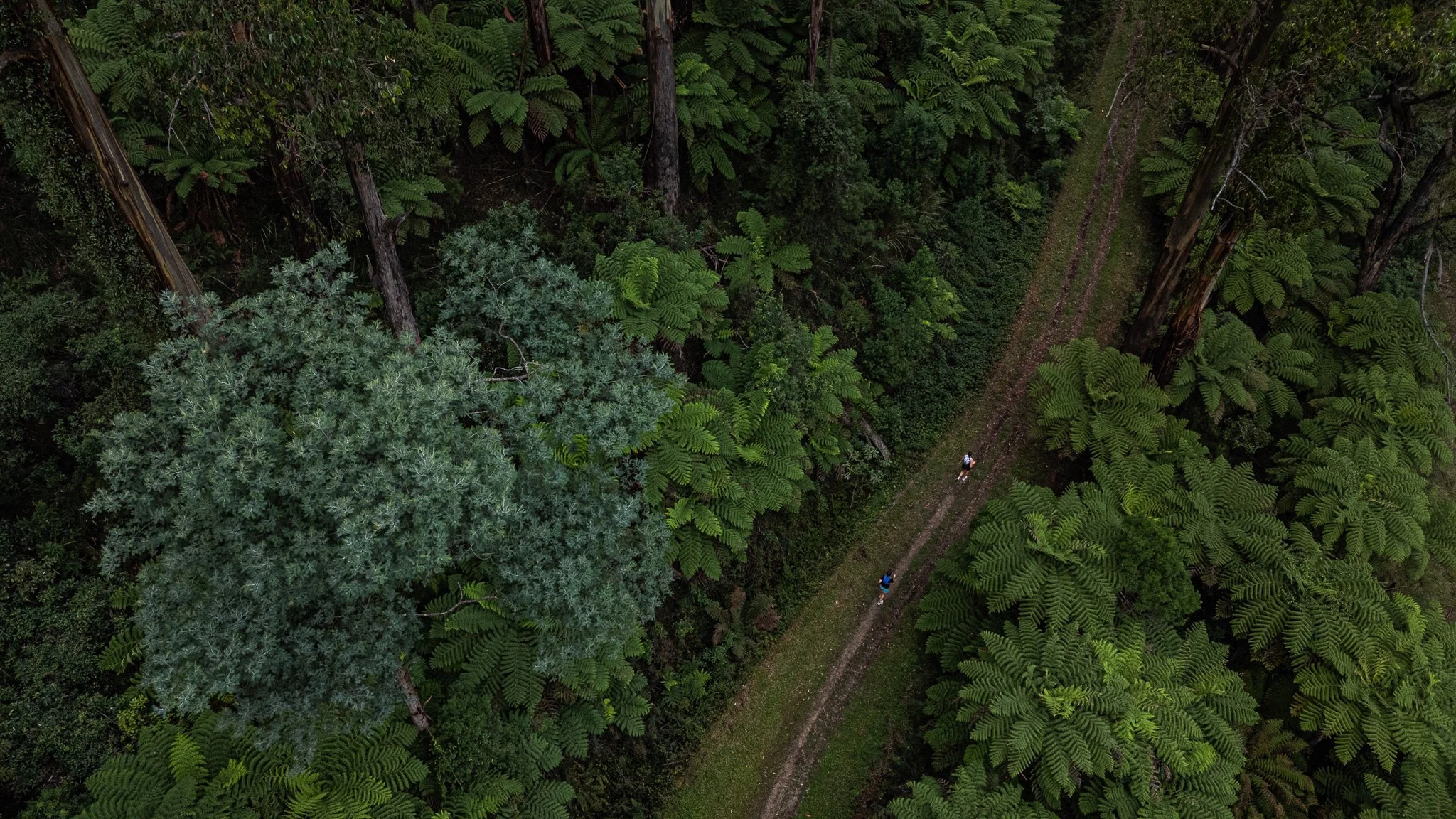DJI_20260307091832_0217_D.jpg