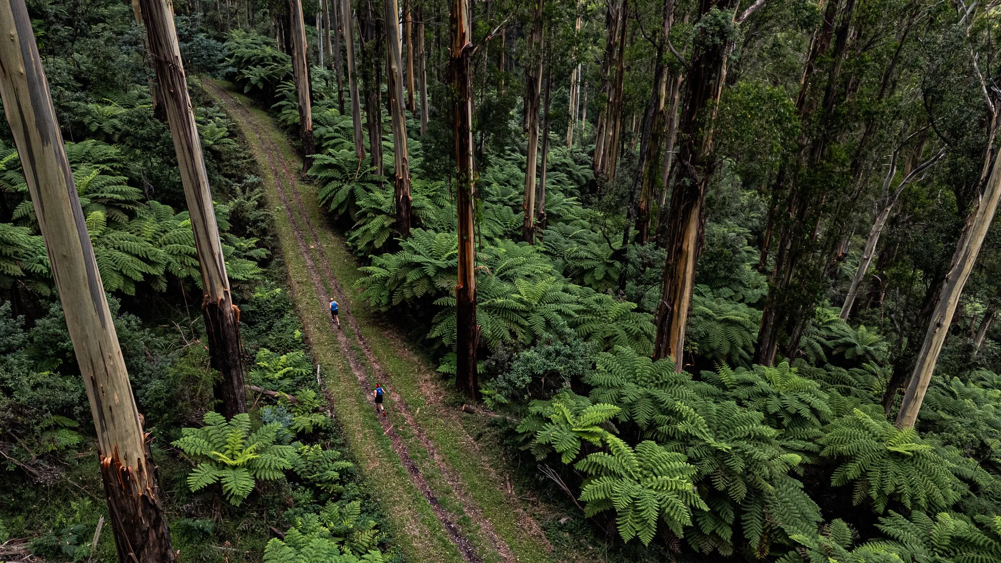 DJI_20260307090934_0140_D.jpg