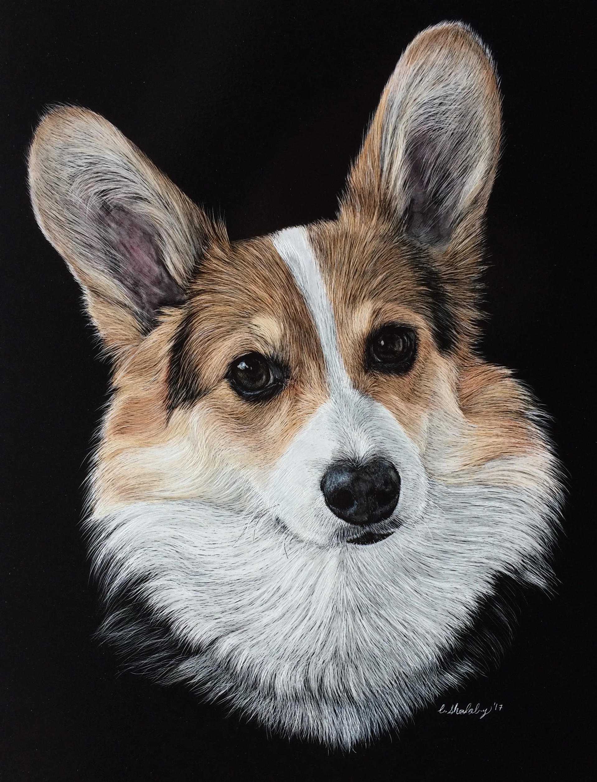 Bella