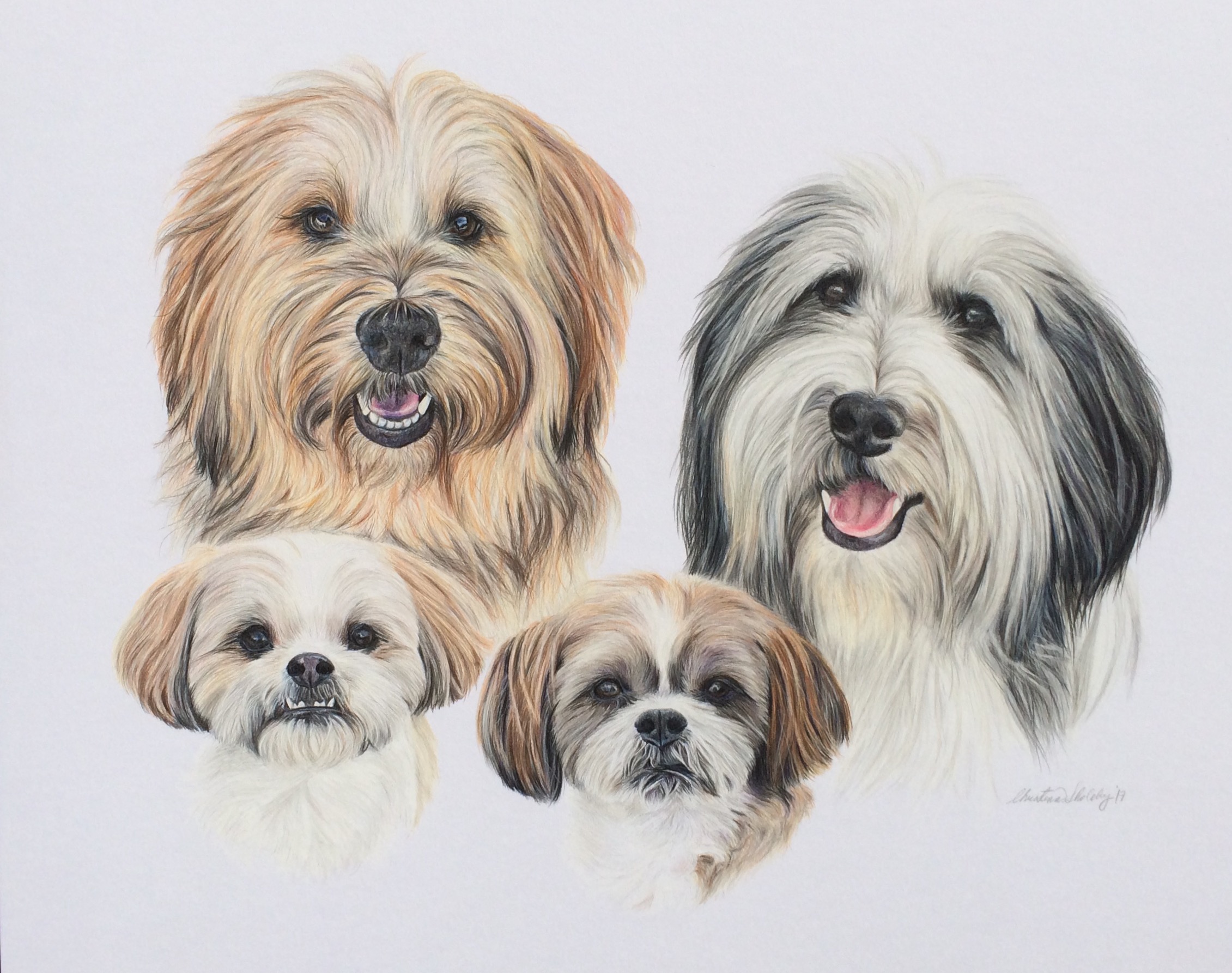 Kayden, Takoda, Alamo, and Codi