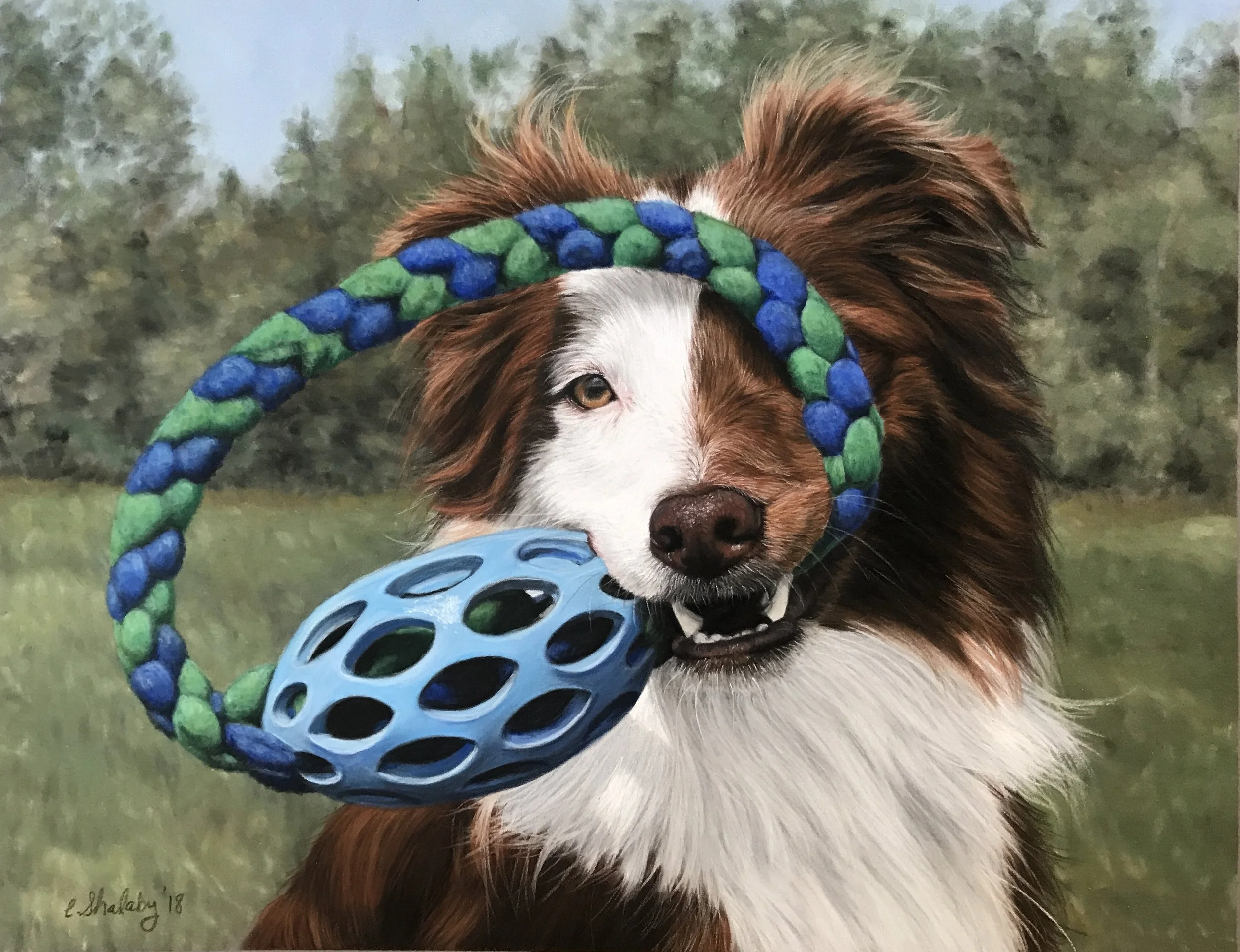 "Fenway"
