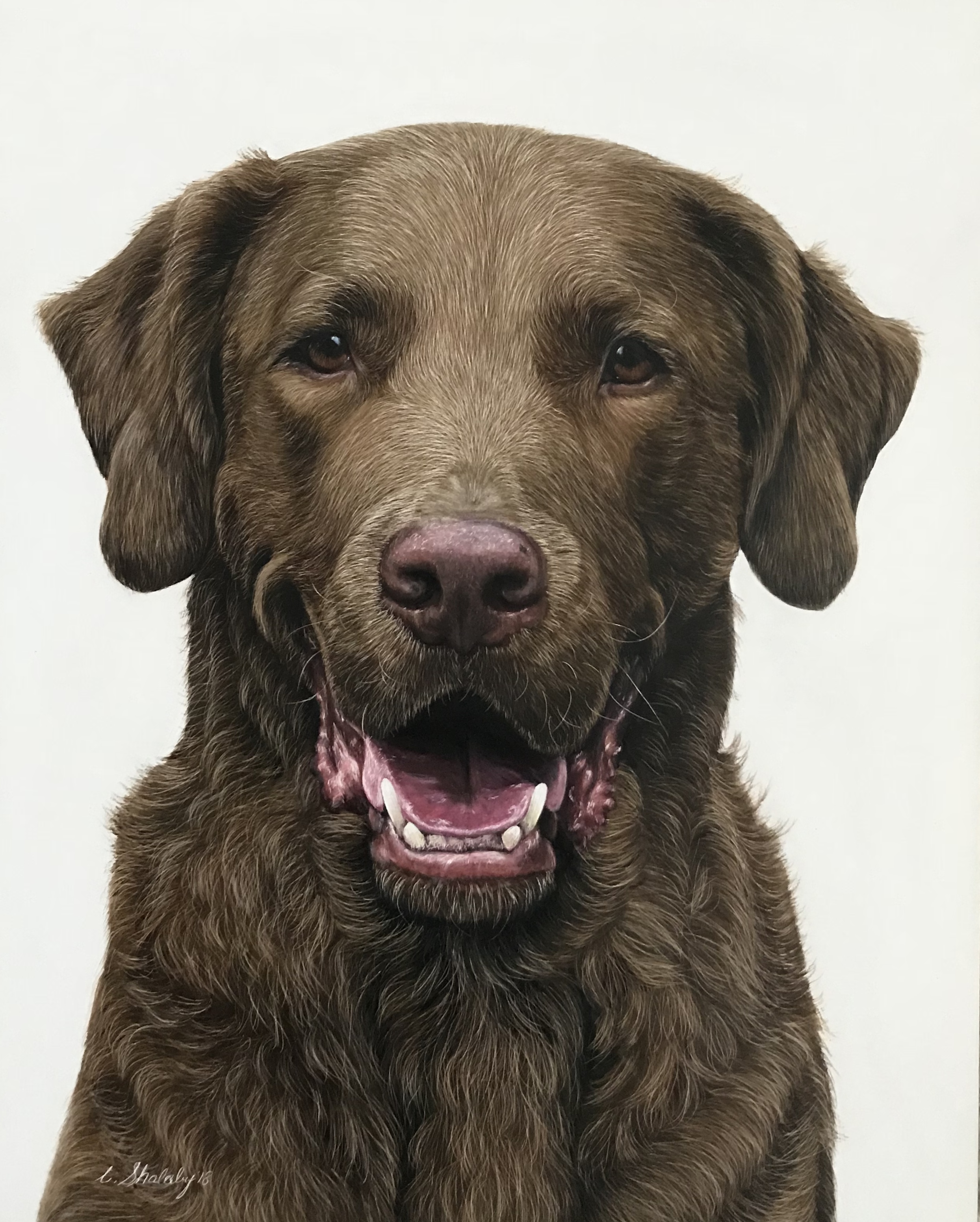 "Cooper"