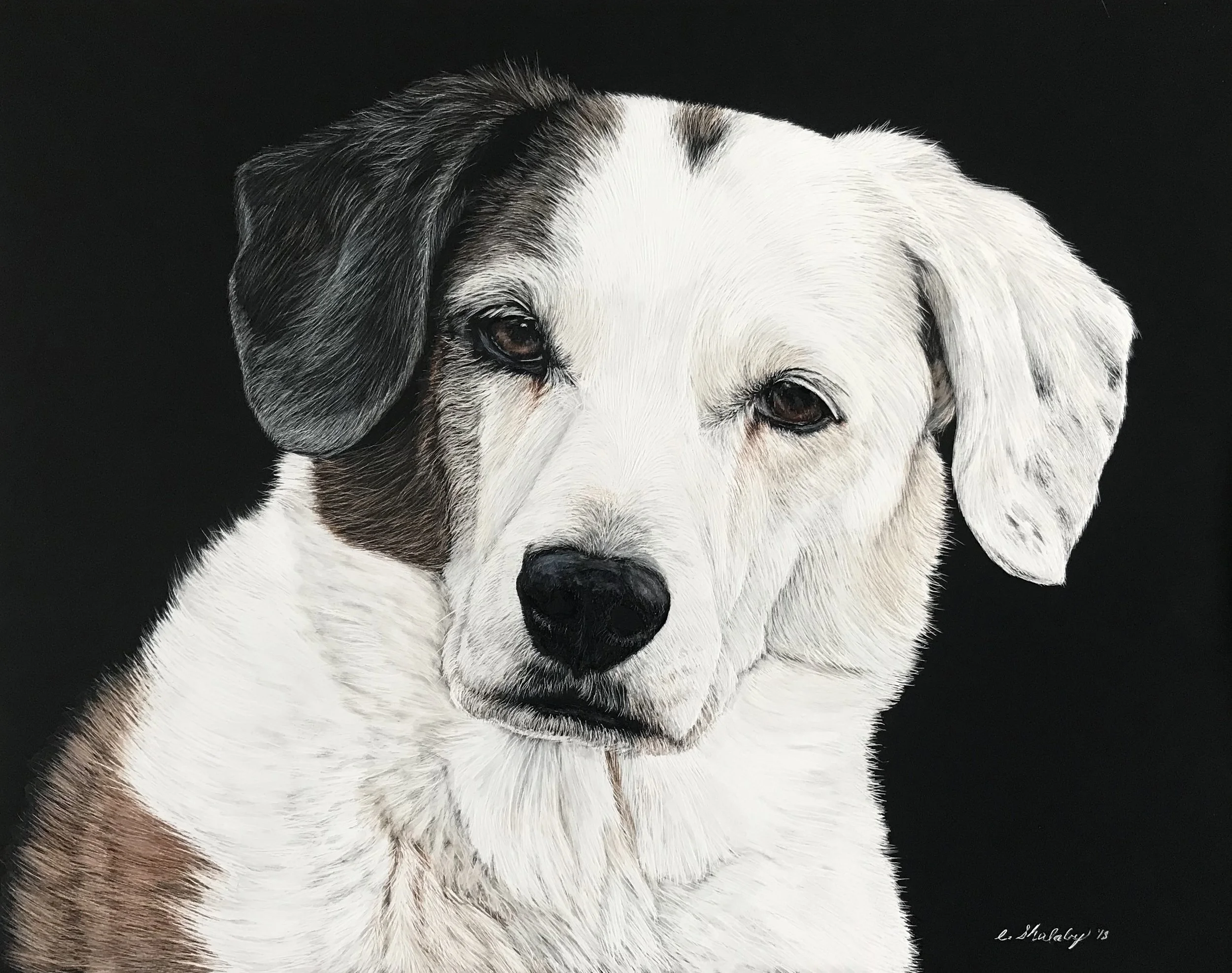 "Sadie"