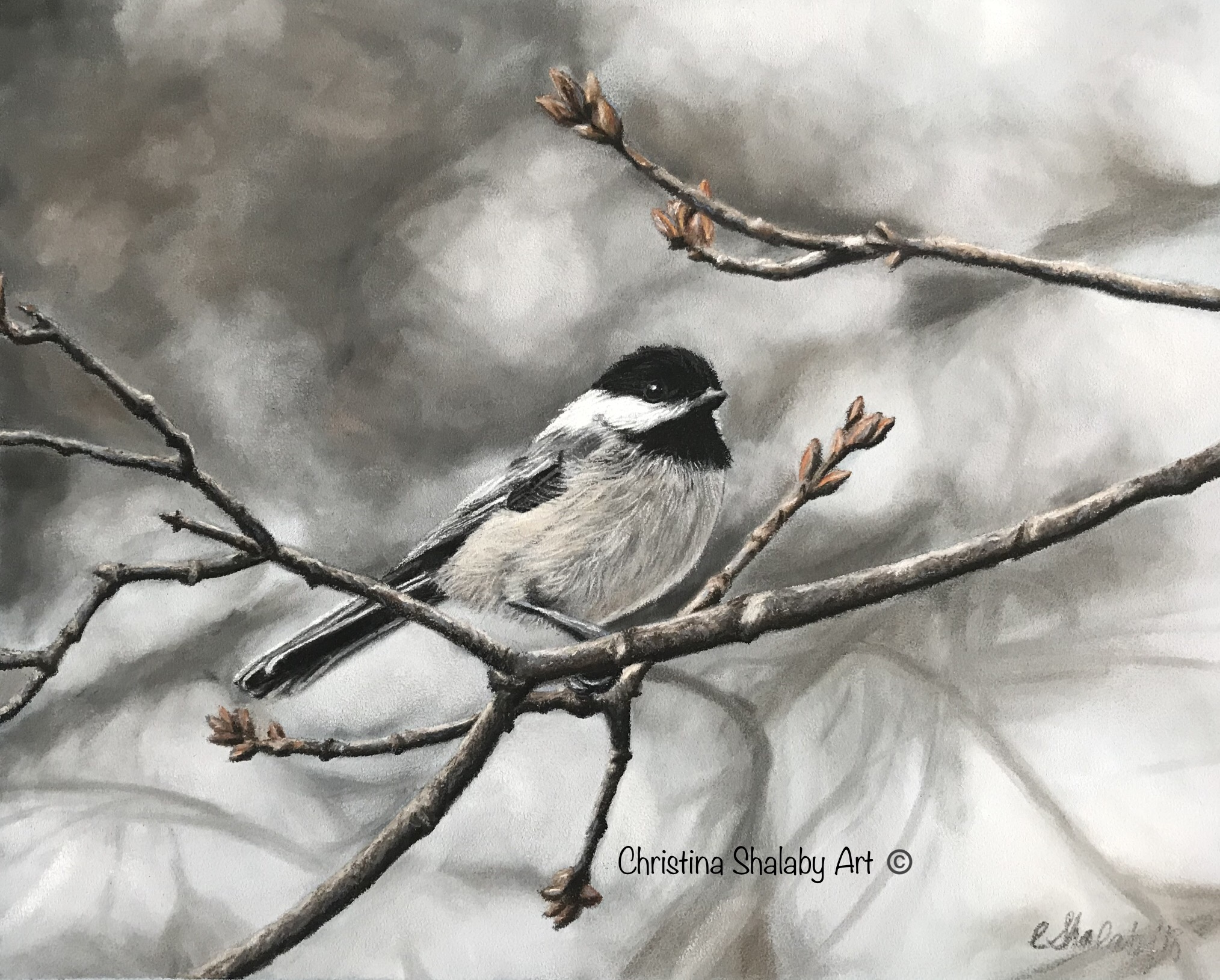 "Chickadee"