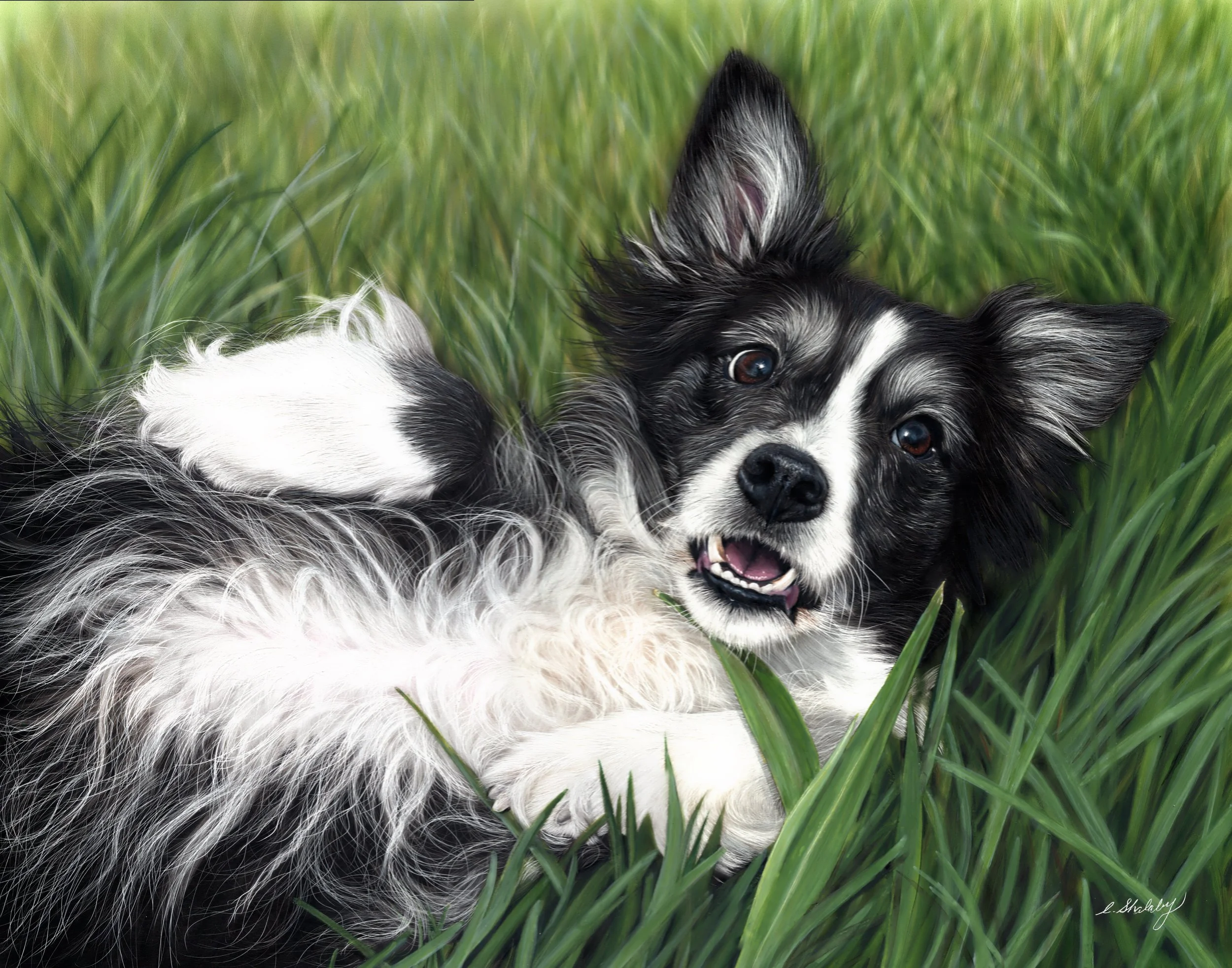 Piper grass adjusted.jpg