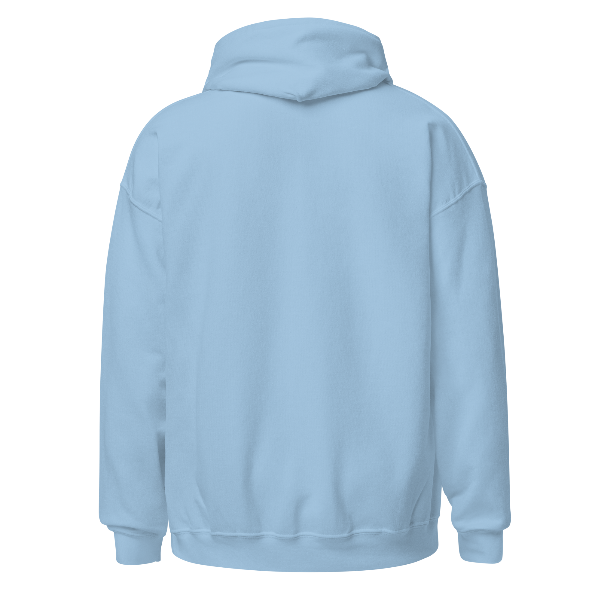 unisex-heavy-blend-hoodie-light-blue-back-6a98d7c371f51.png