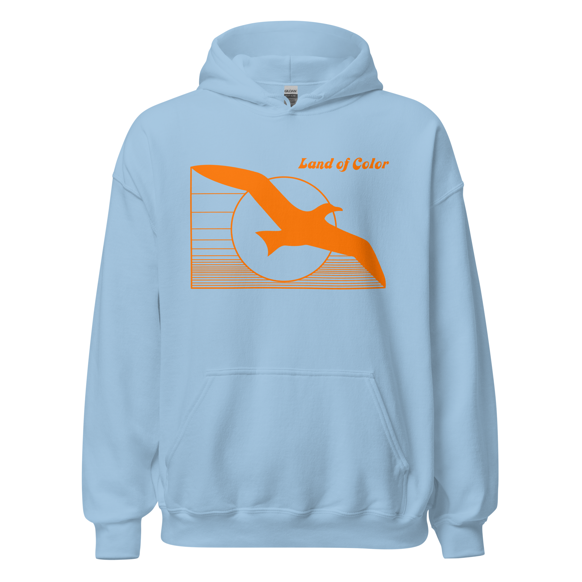 unisex-heavy-blend-hoodie-light-blue-front-6a98d7c3719d1.png