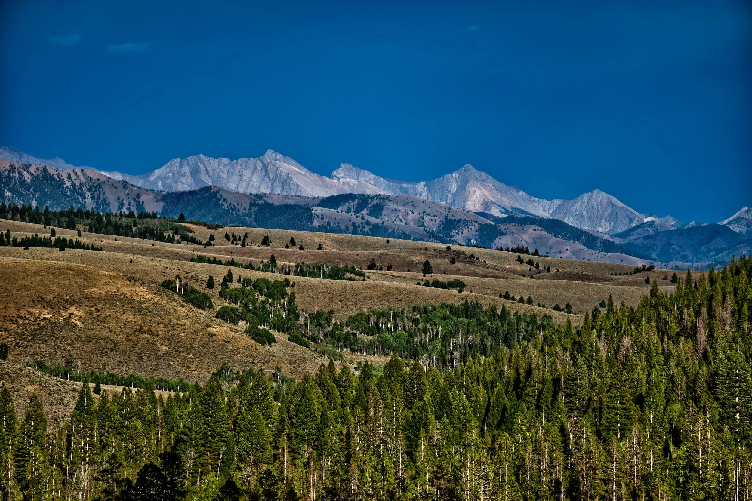 Mountain range with rocky peaks under a clear blue sky, surrounded by rolling hills and dense green forest.