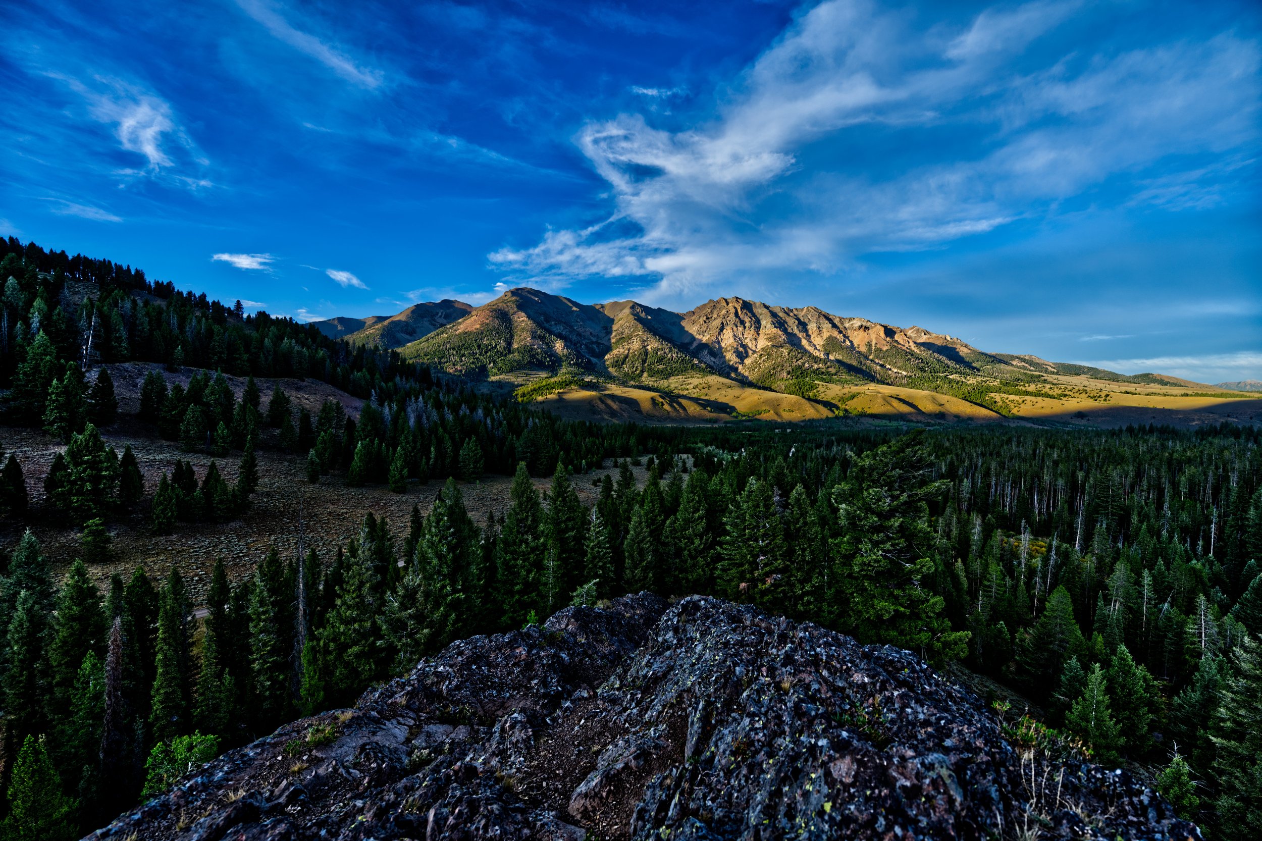 Mountain range with green forests, grassy fields, and a partly cloudy blue sky.