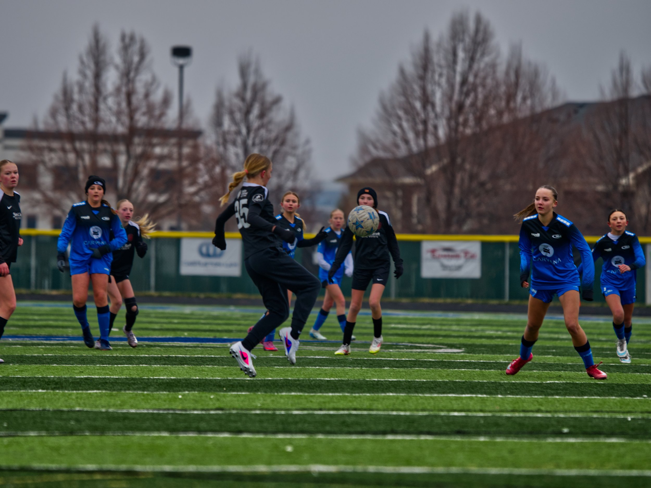 A group of young female soccer players in black and blue uniforms playing on a soccer field during daytime with leafless trees and buildings in the background.