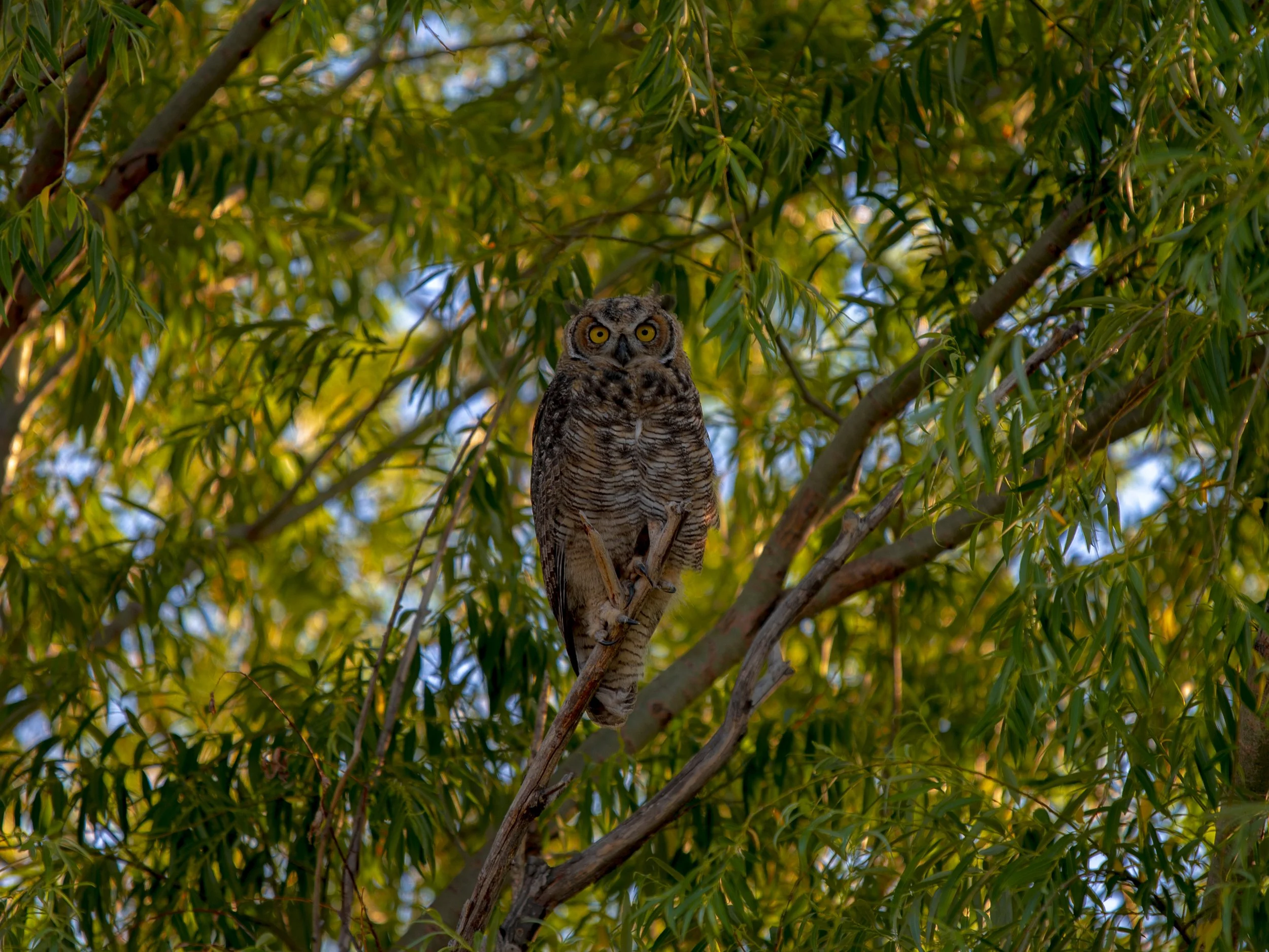 DSC_2714.jpg