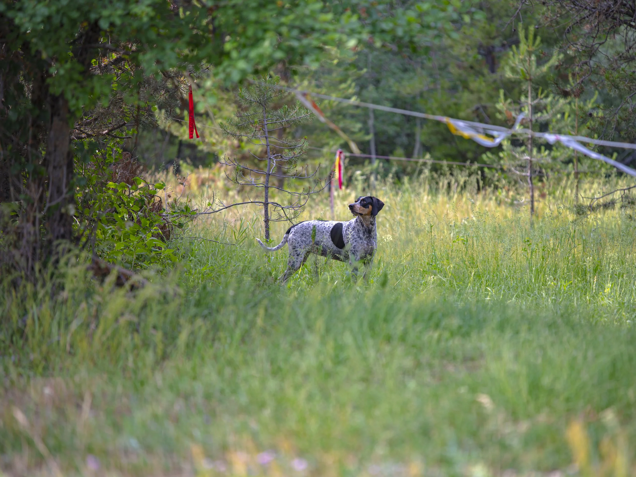 DSC_2622.jpg