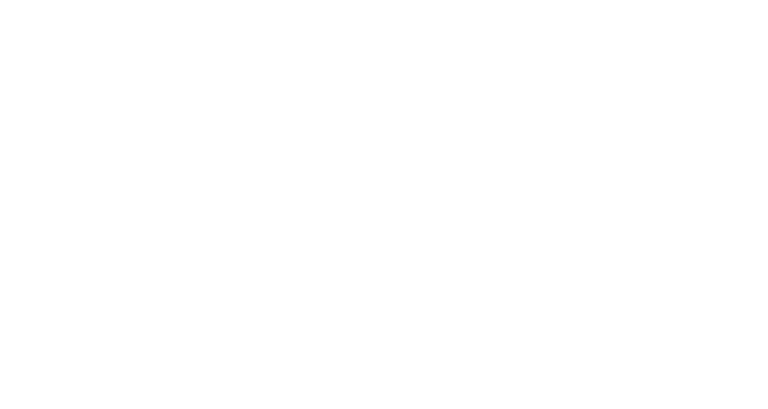 Global Business Advisors