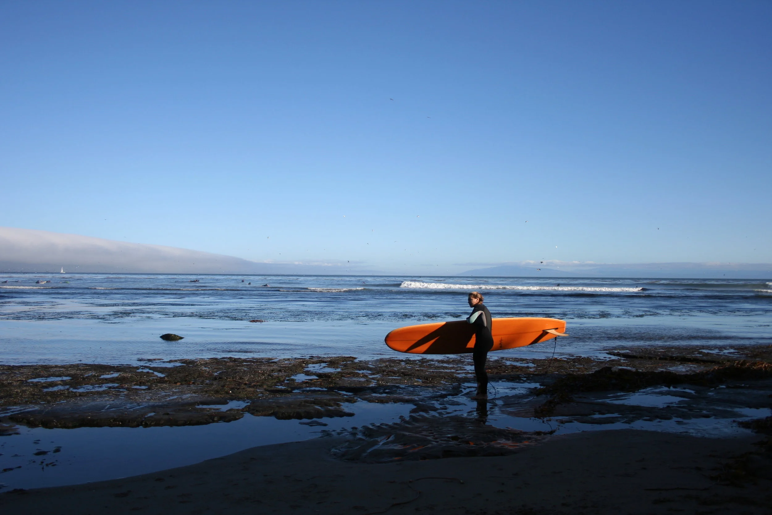  Pictured: Shiree Rez, Santa Cruz, California. September 2013. 