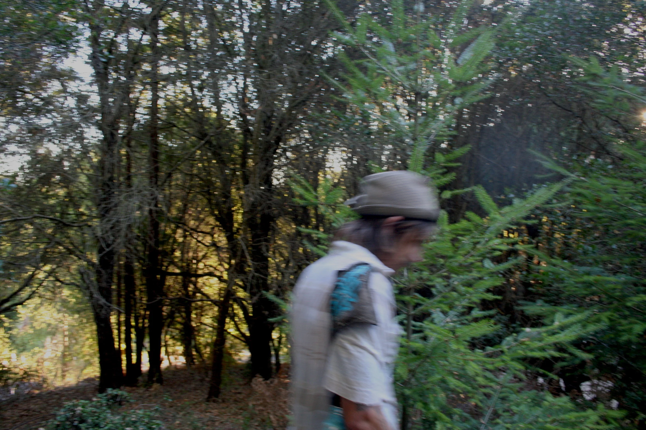  Pictured: Jakob Mikelionis, Santa Cruz, California. September 2013. 
