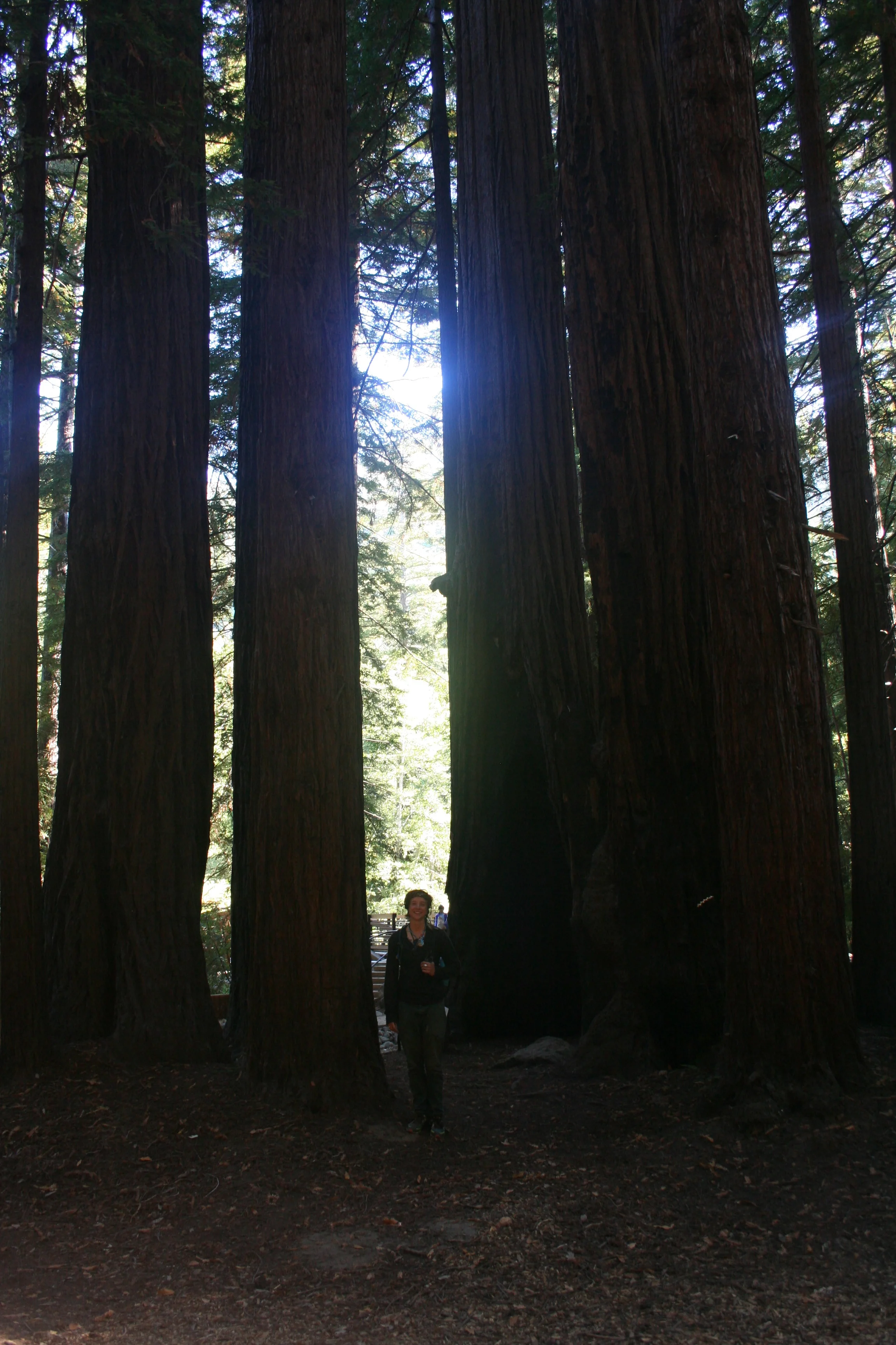  Photography provided by a passerby 