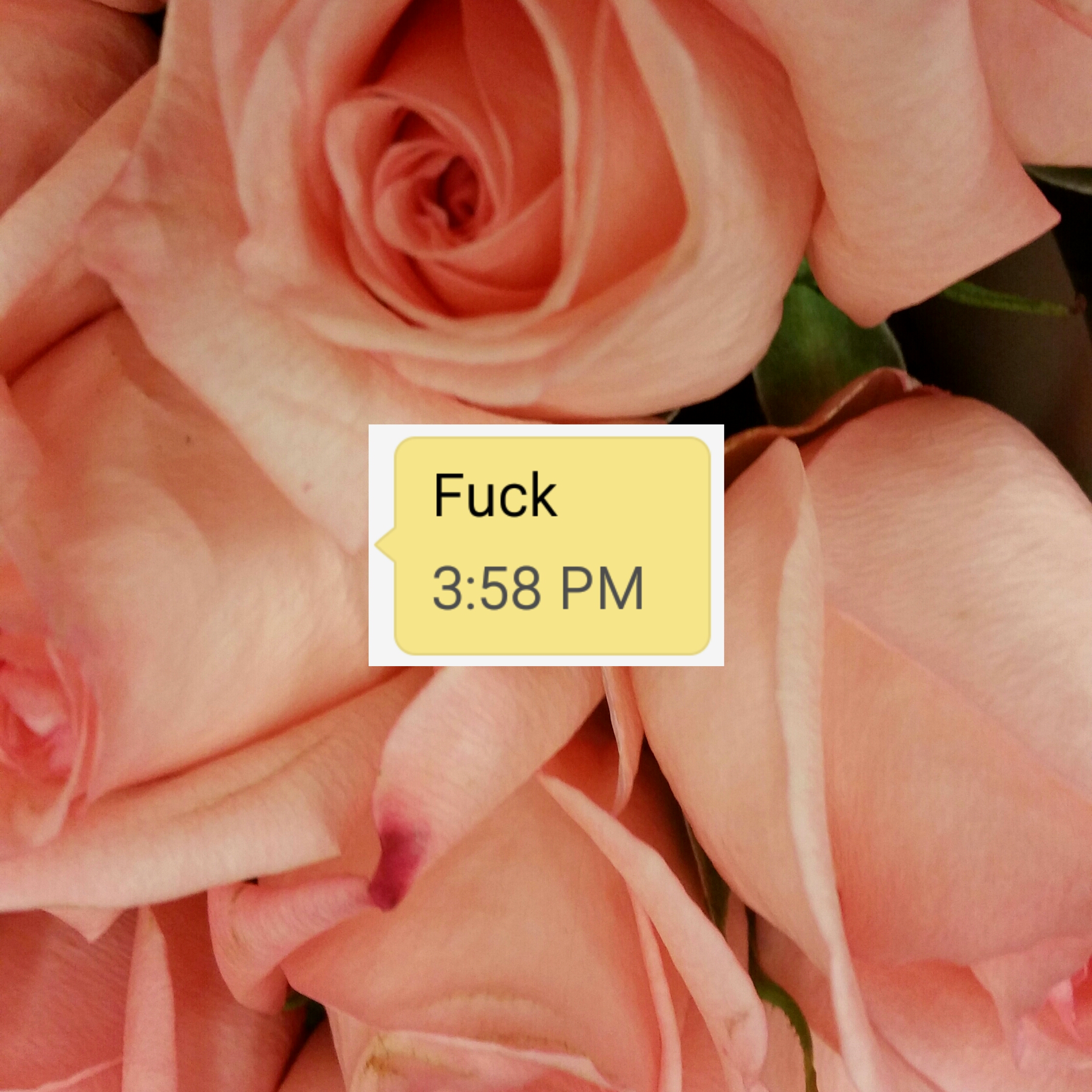 Fuck