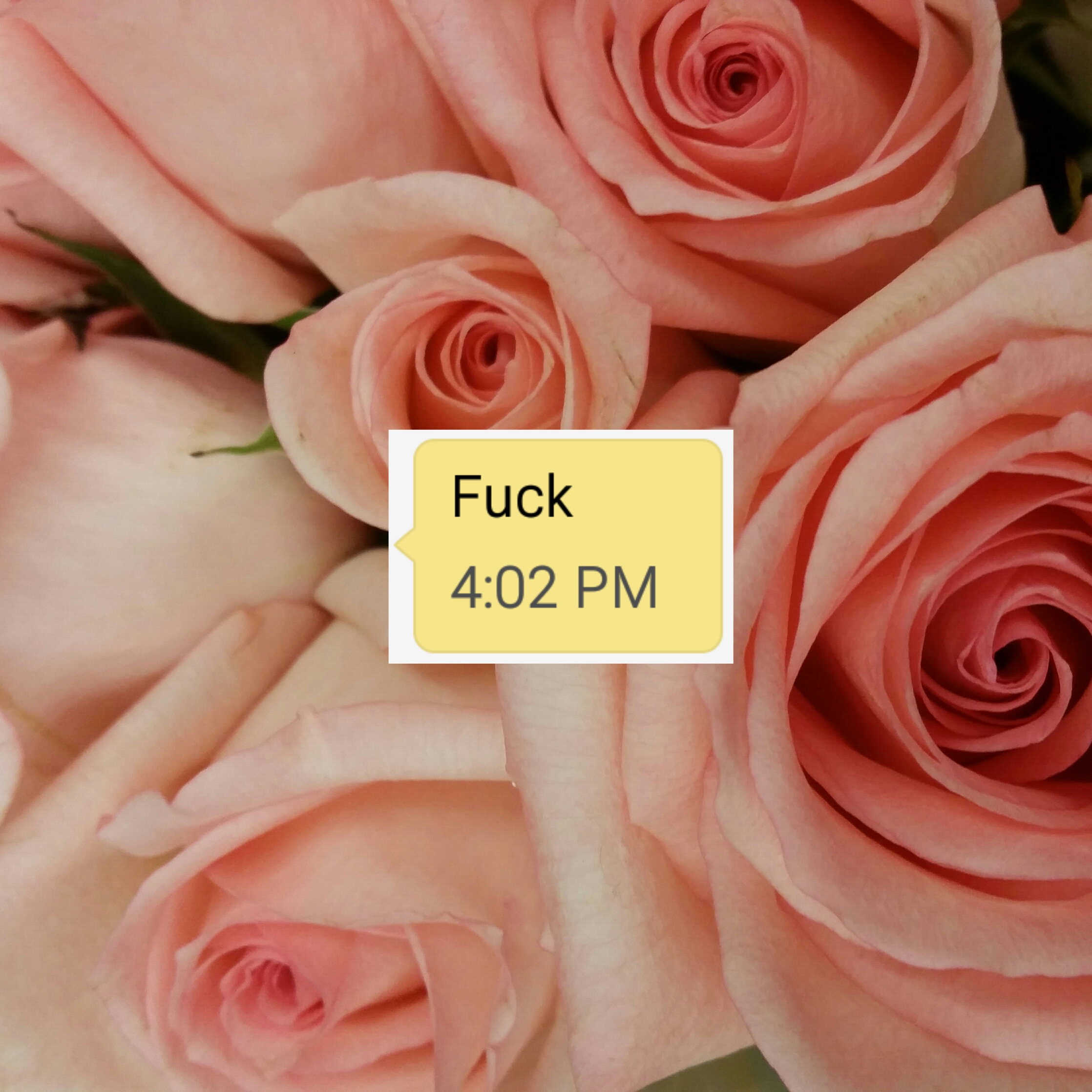 Fuck again