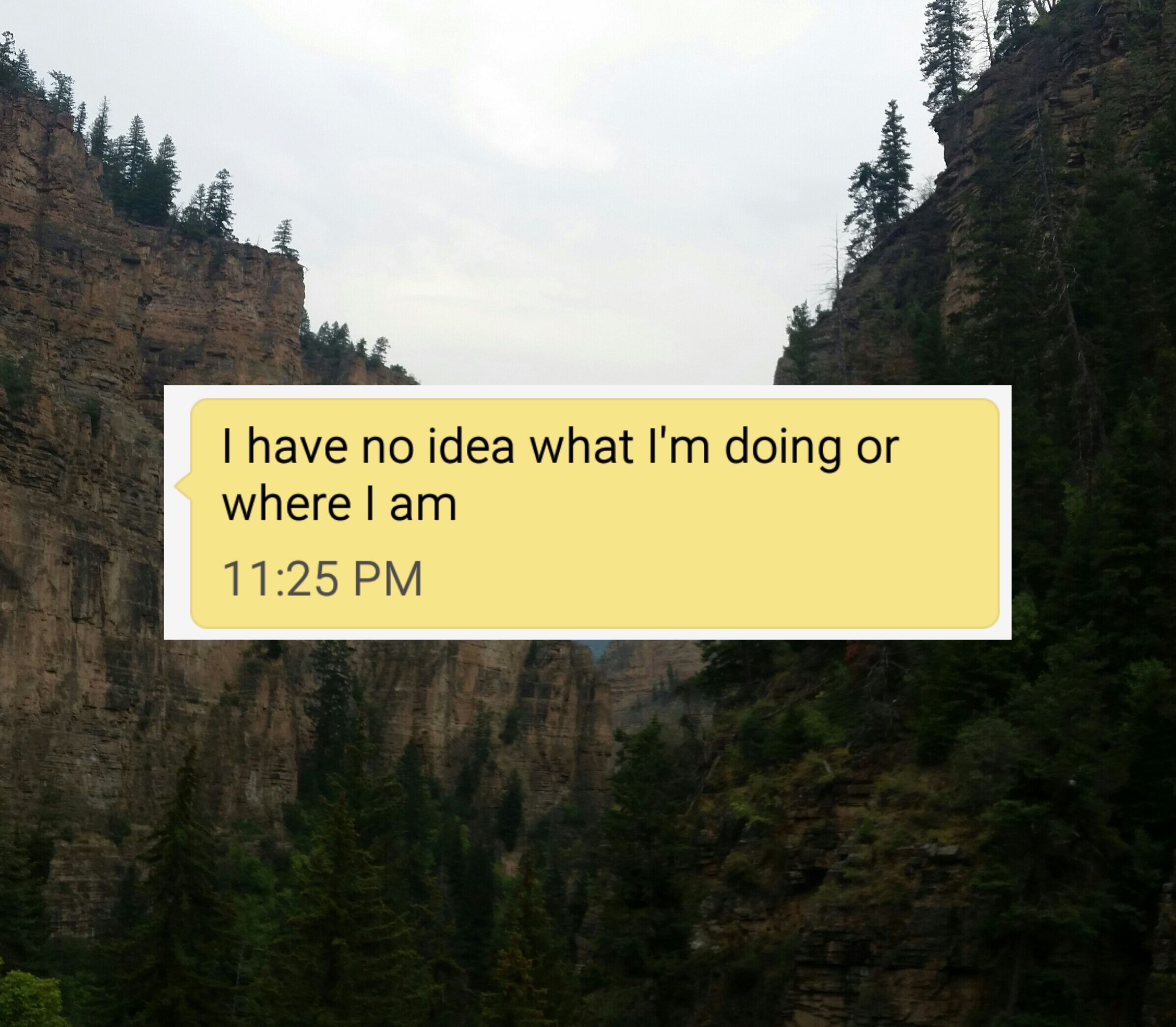 No idea
