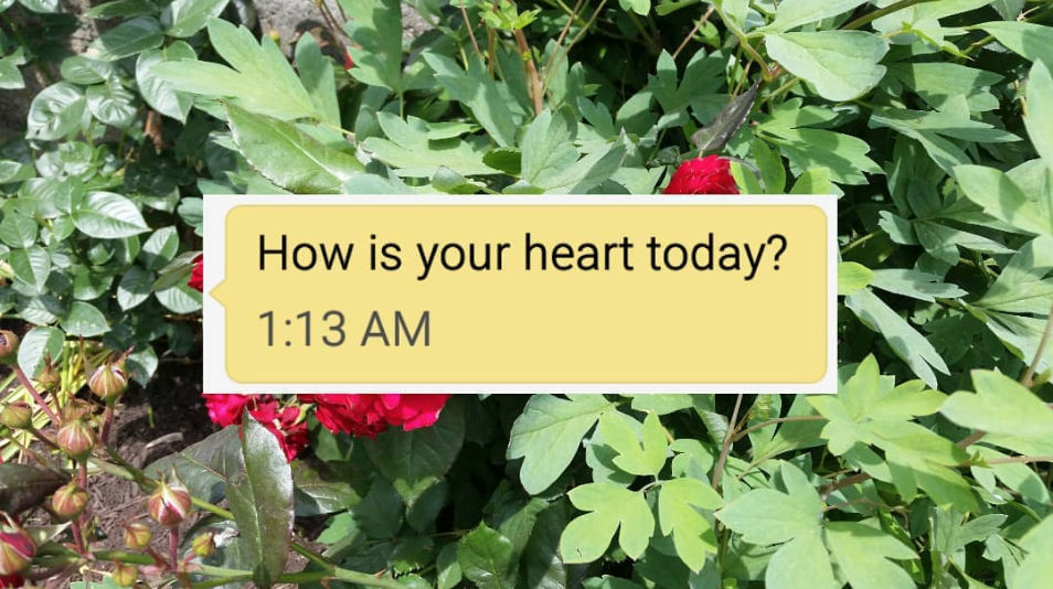 How is Your Heart Today?