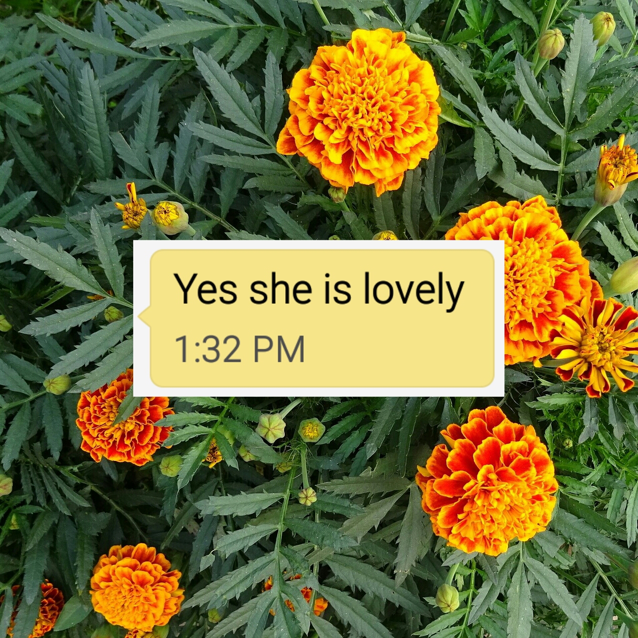 She is Lovely