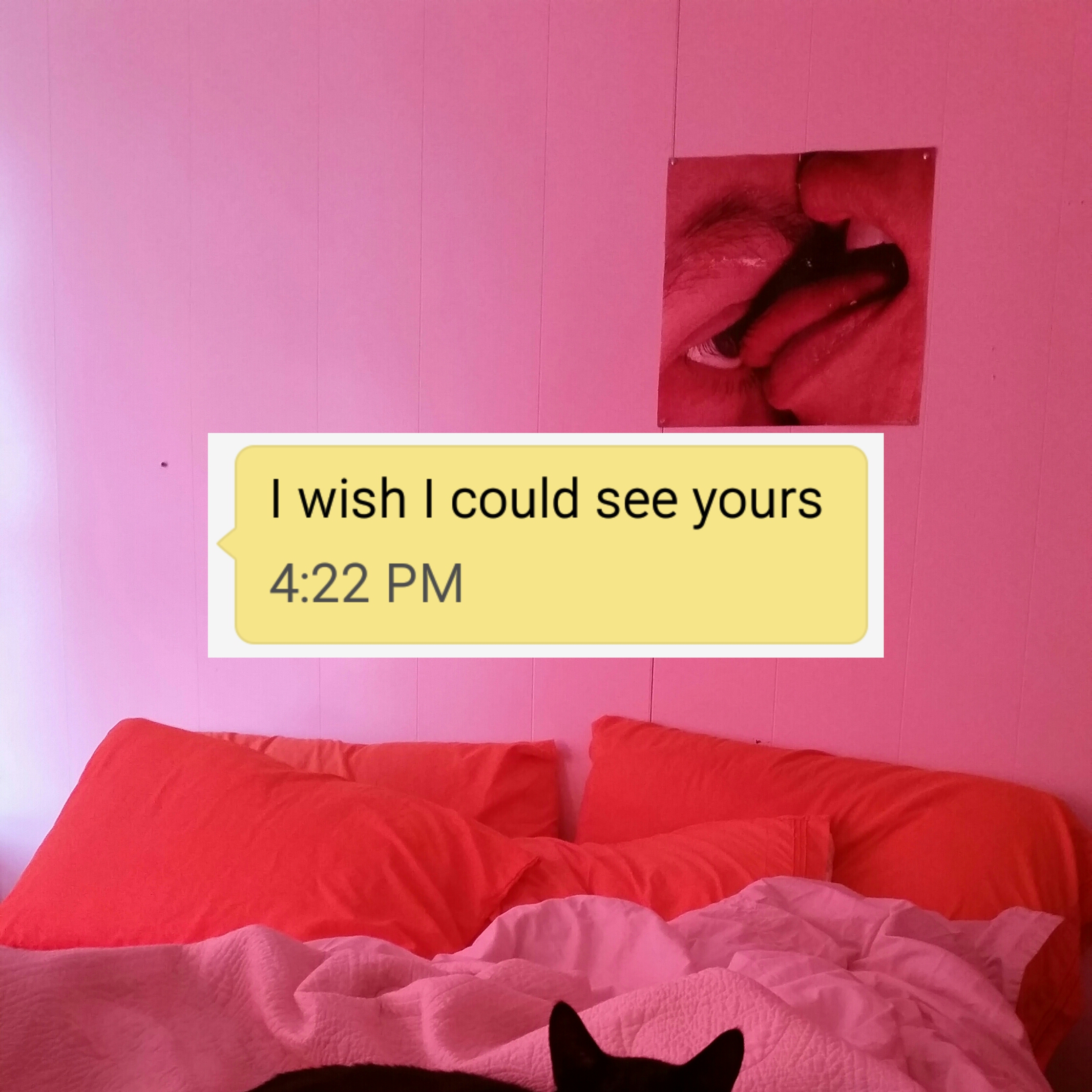 I'll Show You Mine