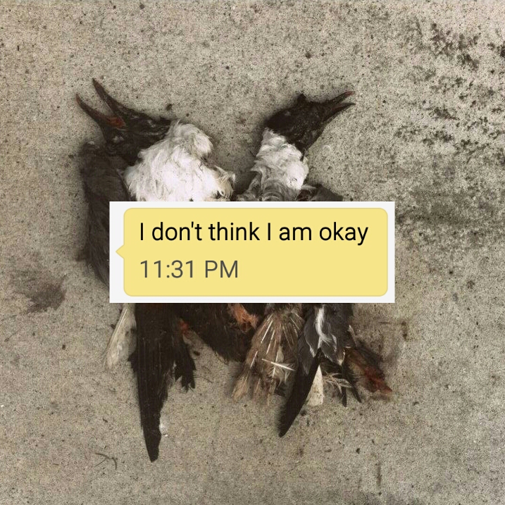 Don't Think I Am